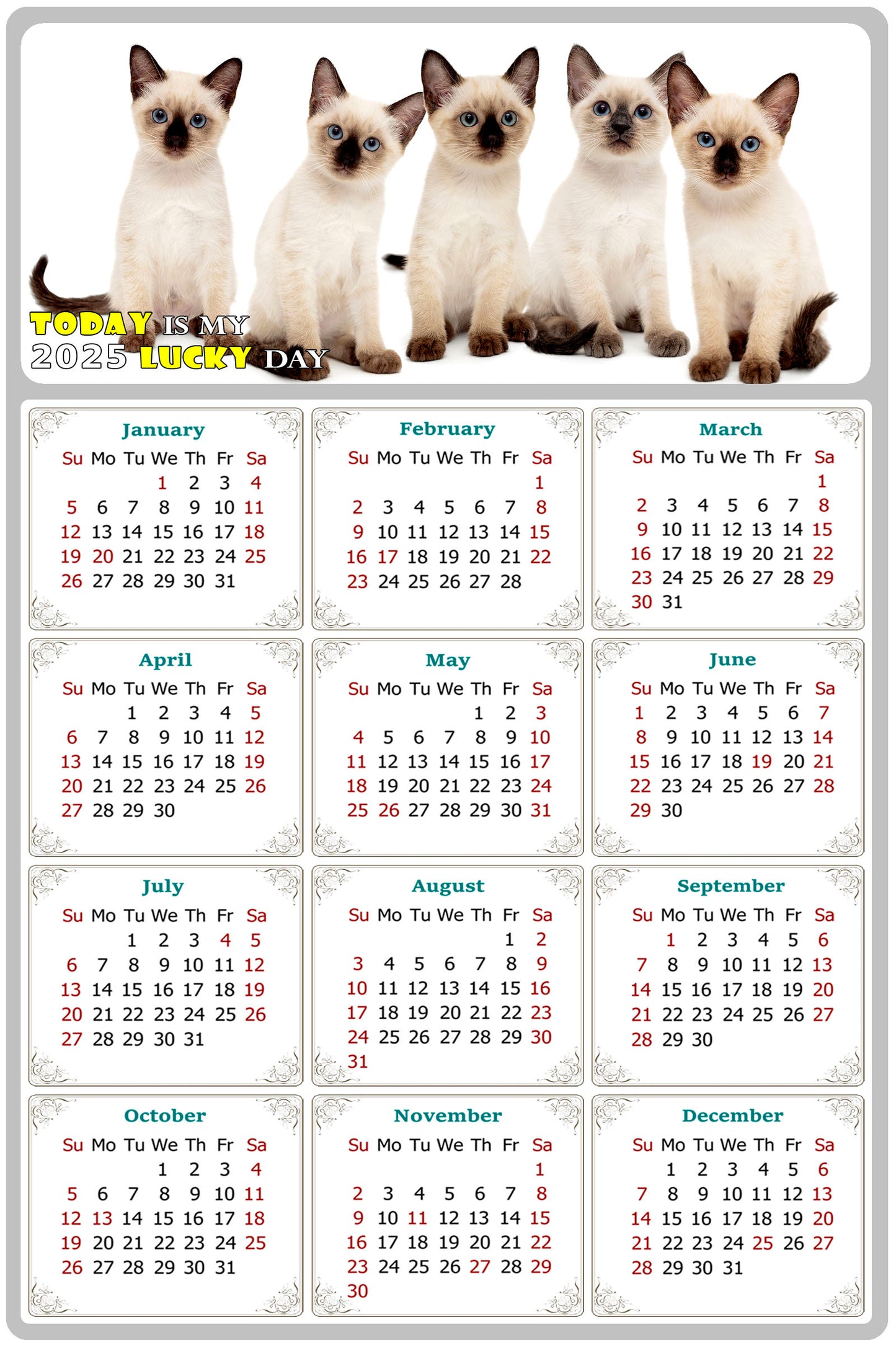 2025 Magnetic Calendar - Today is My Lucky Day (Fade, Tear, and Water Resistant)- Cat Themed 020
