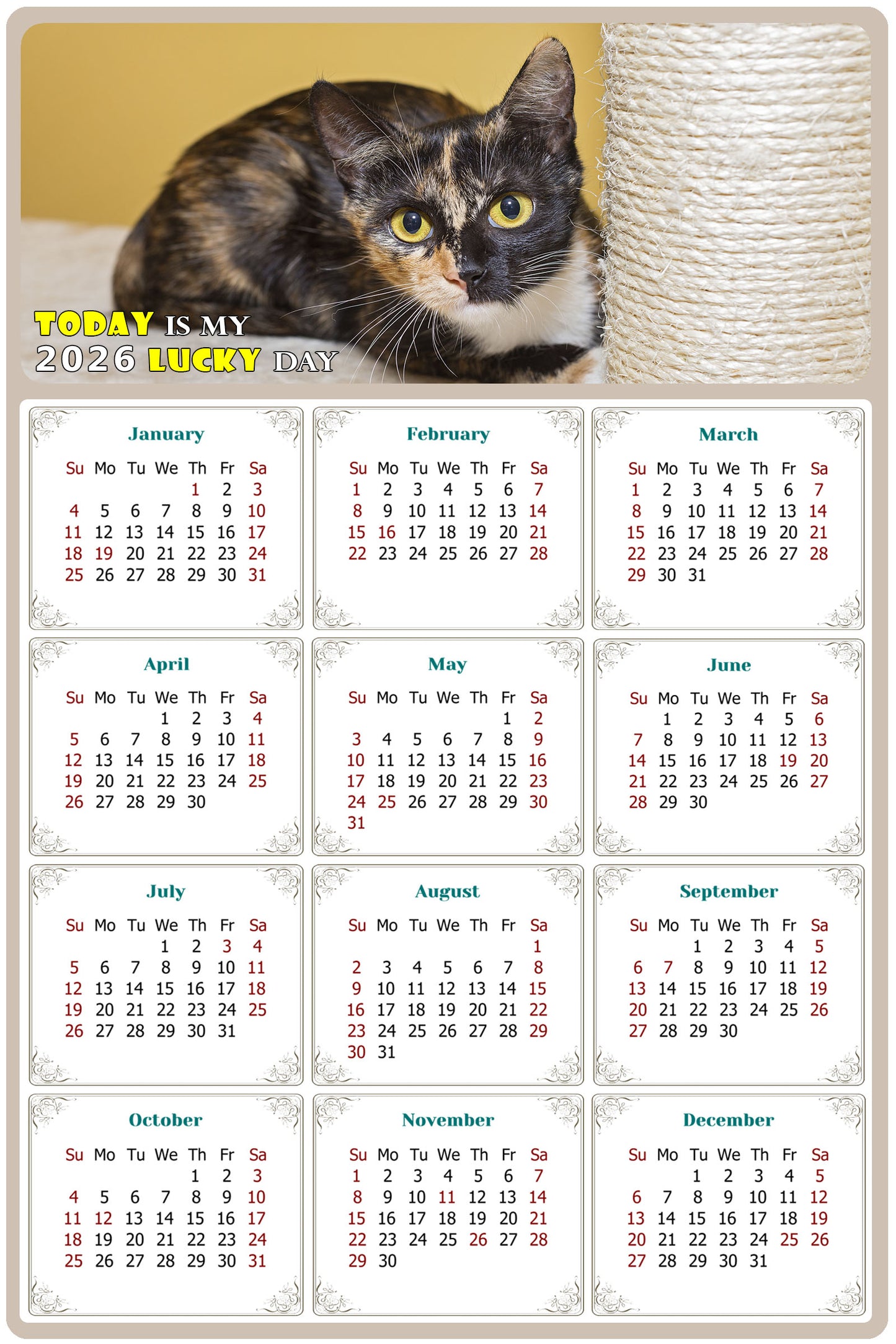 2026 Peel & Stick Calendar - Today is my Lucky Day Removable - Cat 024 (12"x 8")