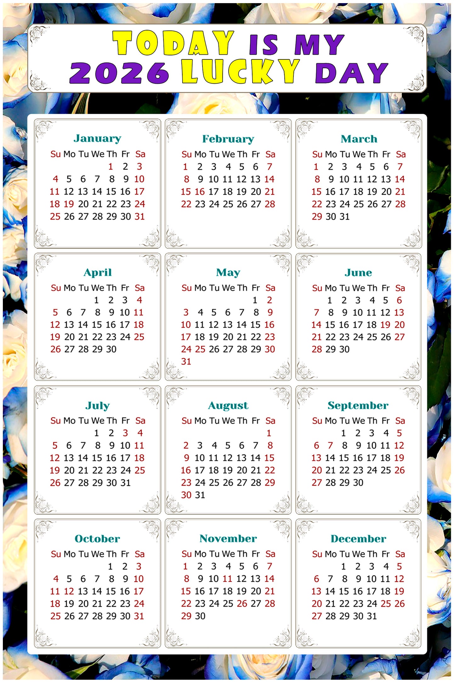 2026 Peel & Stick Calendar - Today is my Lucky Day Removable - 025