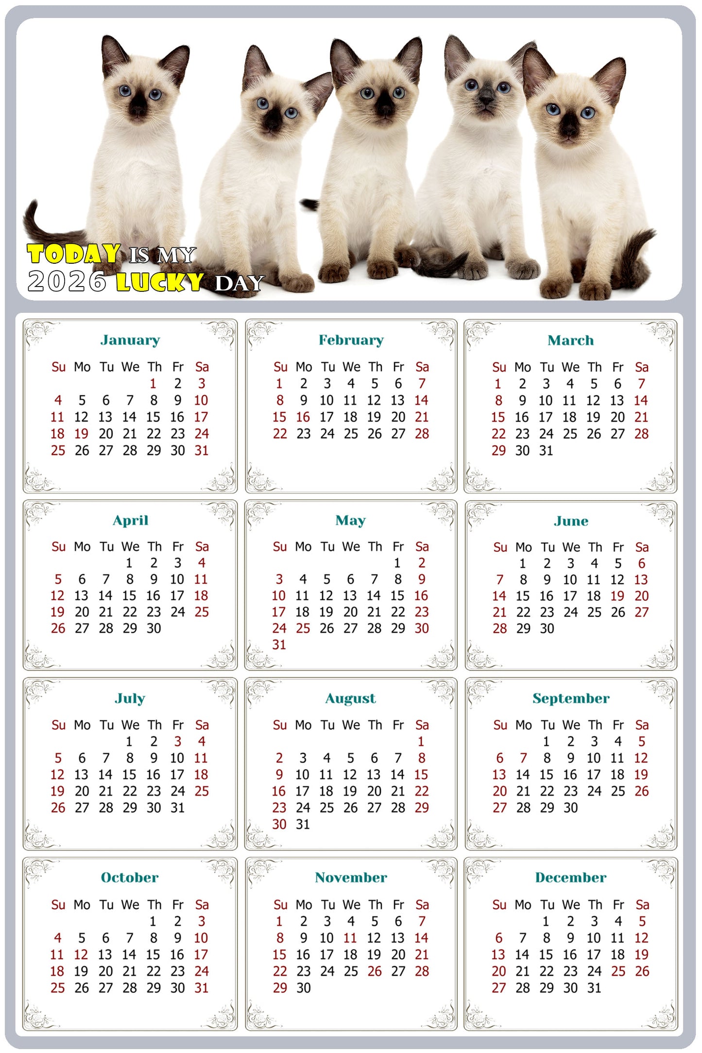 2026 Peel & Stick Calendar - Today is my Lucky Day Removable - Cat 020 (12"x 8")