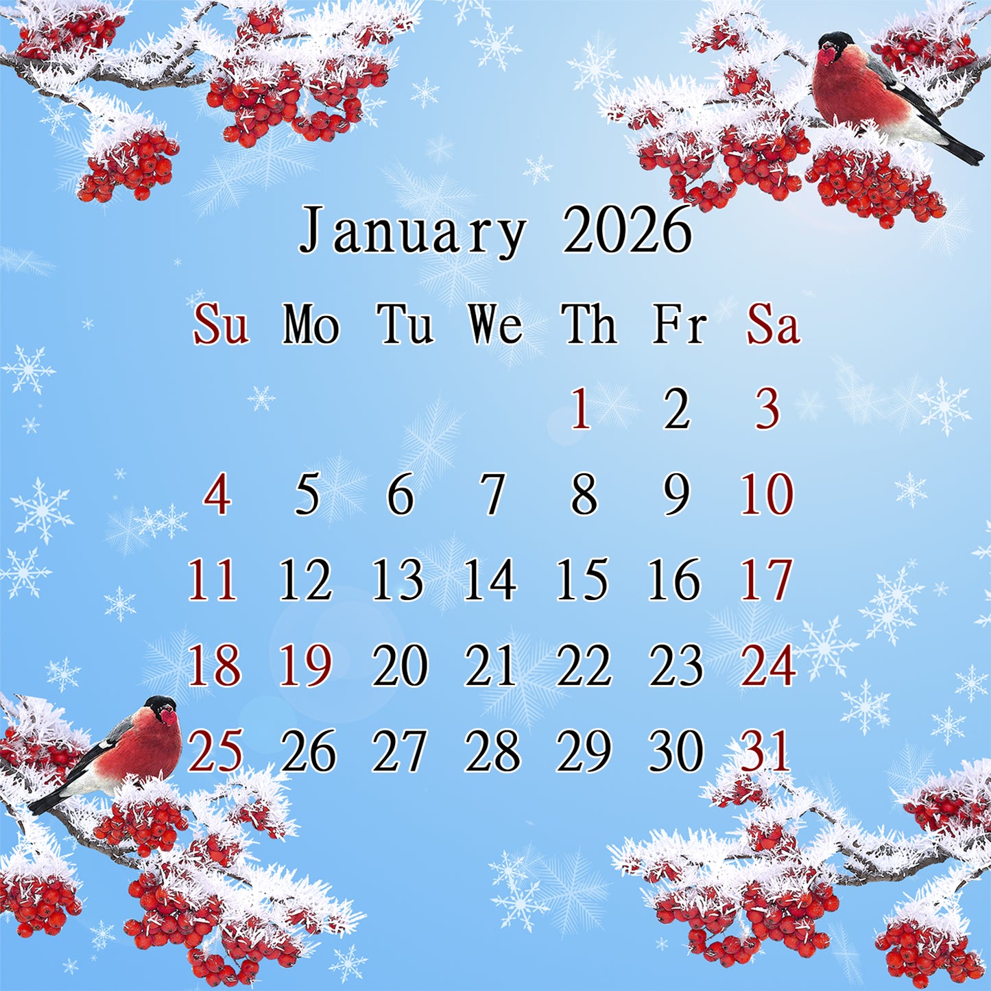 2026 CD-Style Desk Calendar 12 Months Calendar / Planner / Desk Calendar With CD Case Stand, Office Decor, Christmas Gifts (Edition #16)