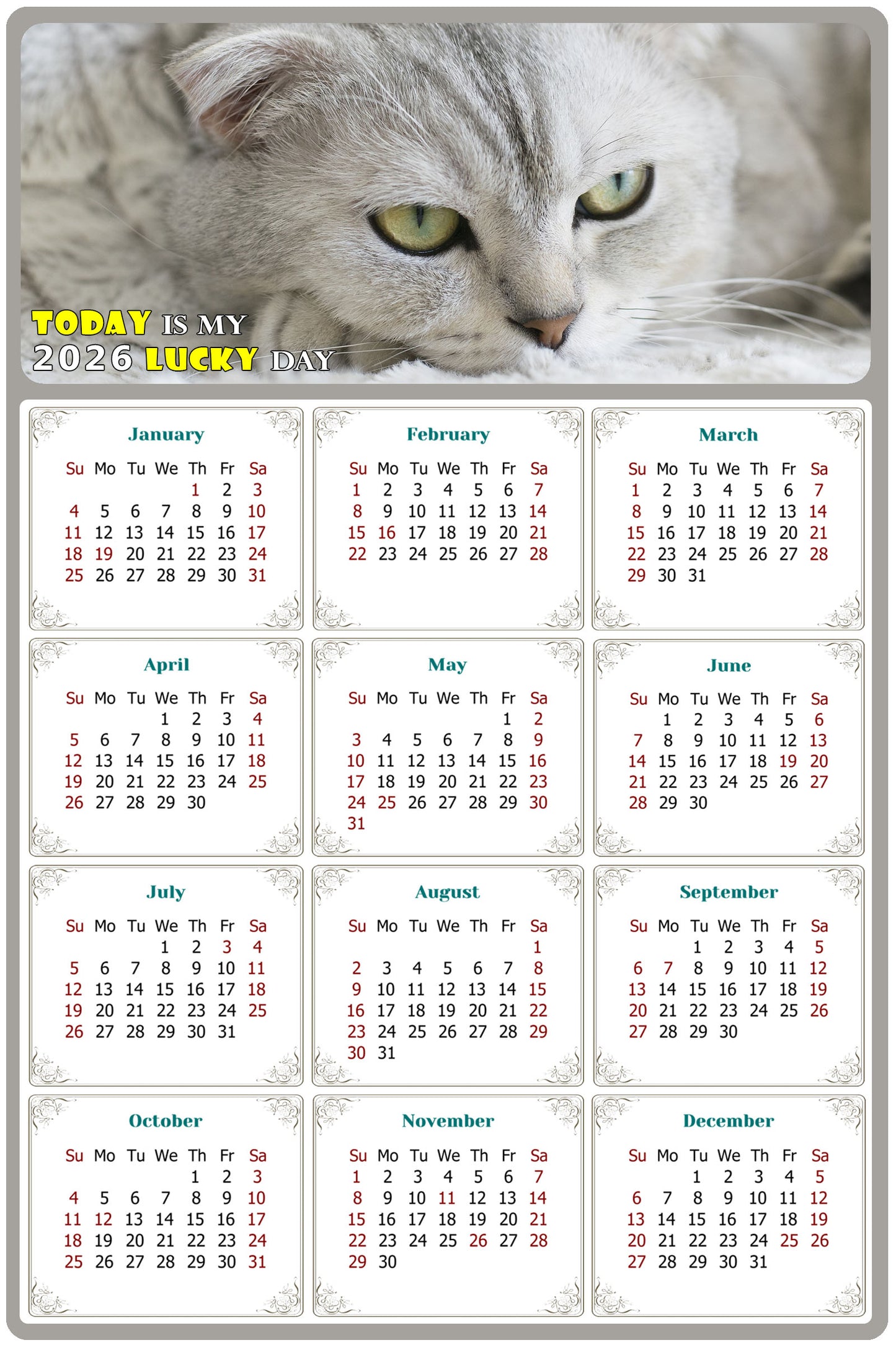 2026 Magnetic Calendar - Today is My Lucky Day (Fade, Tear, and Water Resistant)- Cat Themed 01