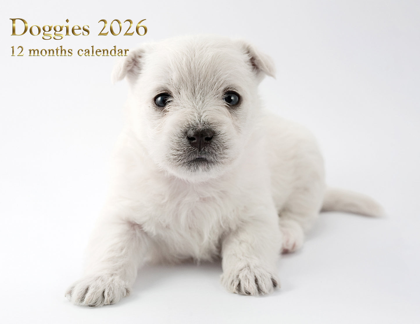2026 Spiral-bound Wall Calendar (Dogs) - 12 Months Desktop/Wall Calendar/Planner