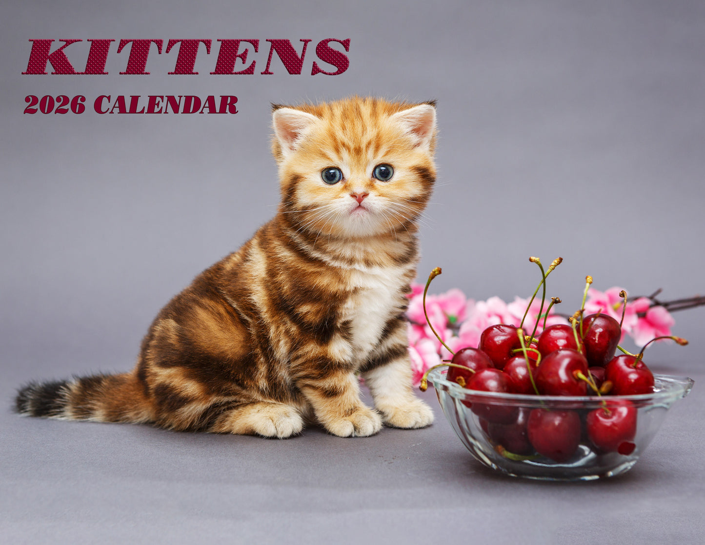 2026 Spiral-bound Wall Calendar (Kittens) - 12 Months Desktop/Wall Calendar/Planner