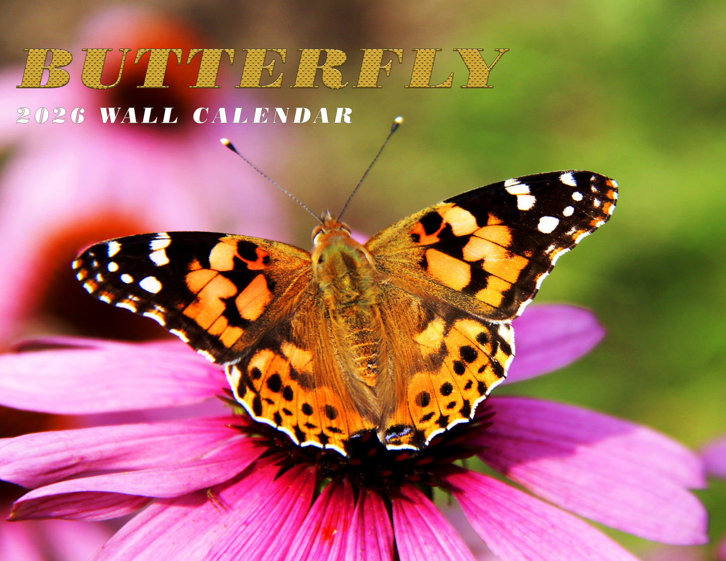 2026 Spiral-bound Wall Calendar (Butterflyes) - 12 Months Desktop/Wall Calendar/Planner