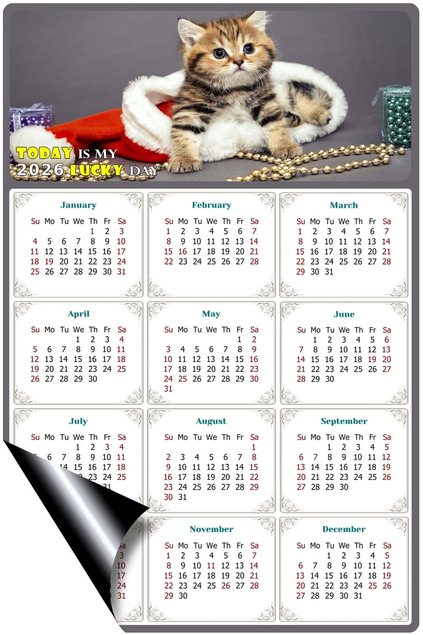 2026 Magnetic Calendar - Today is My Lucky Day (Fade, Tear, and Water Resistant)- Cat Themed 023