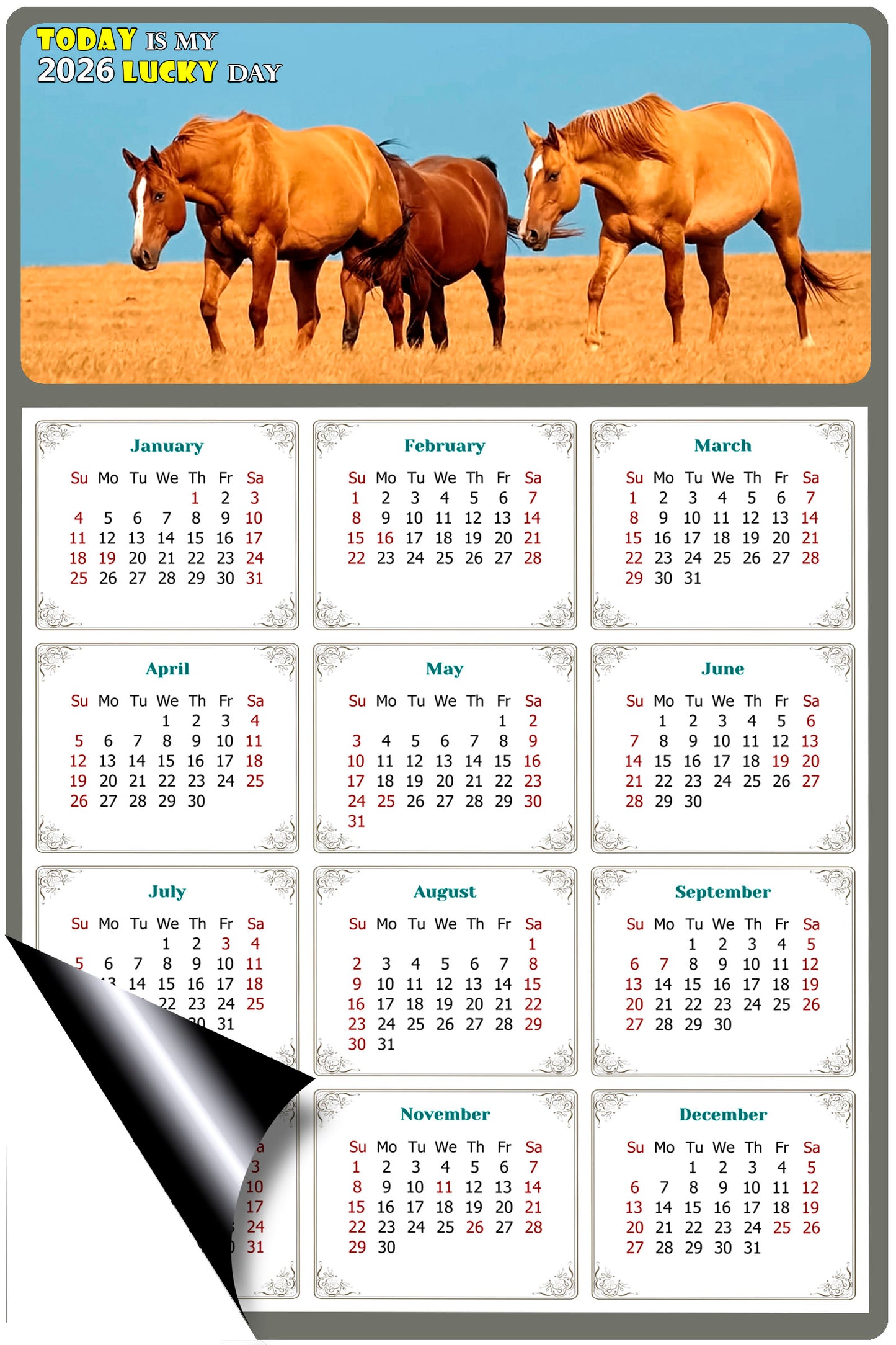 2026 Magnetic Calendar - Calendar Magnets - Today is my Lucky Day - (Fade, Tear, and Water Resistant) - Horses Themed 017