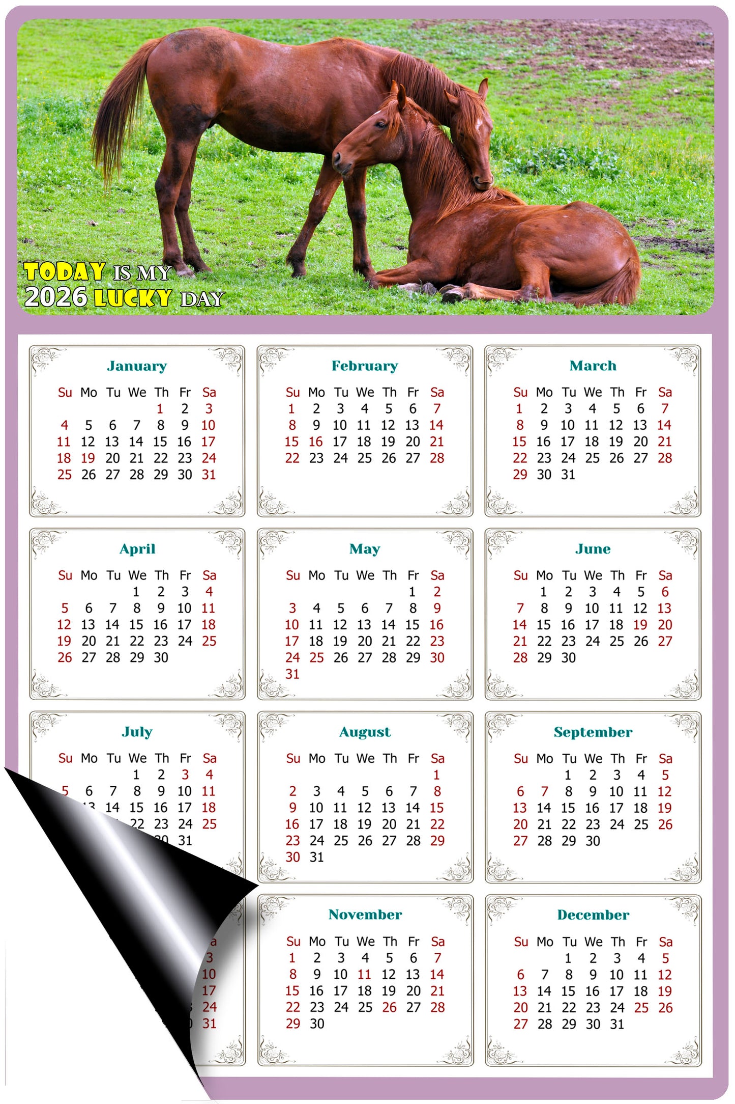 2026 Magnetic Calendar - Calendar Magnets - Today is my Lucky Day - (Fade, Tear, and Water Resistant) - Horses Themed 019