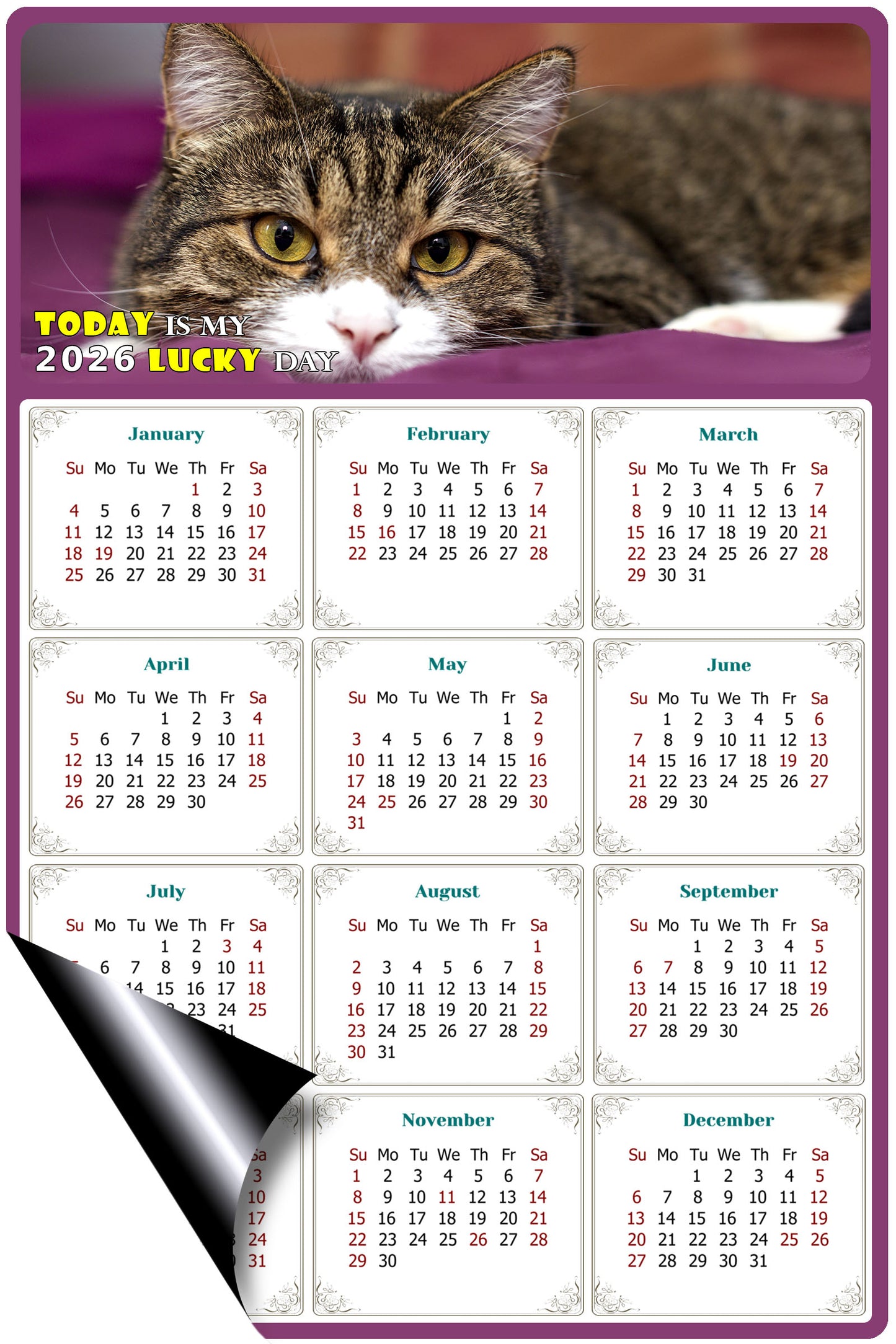 2026 Magnetic Calendar - Today is My Lucky Day (Fade, Tear, and Water Resistant)- Cat Themed 022