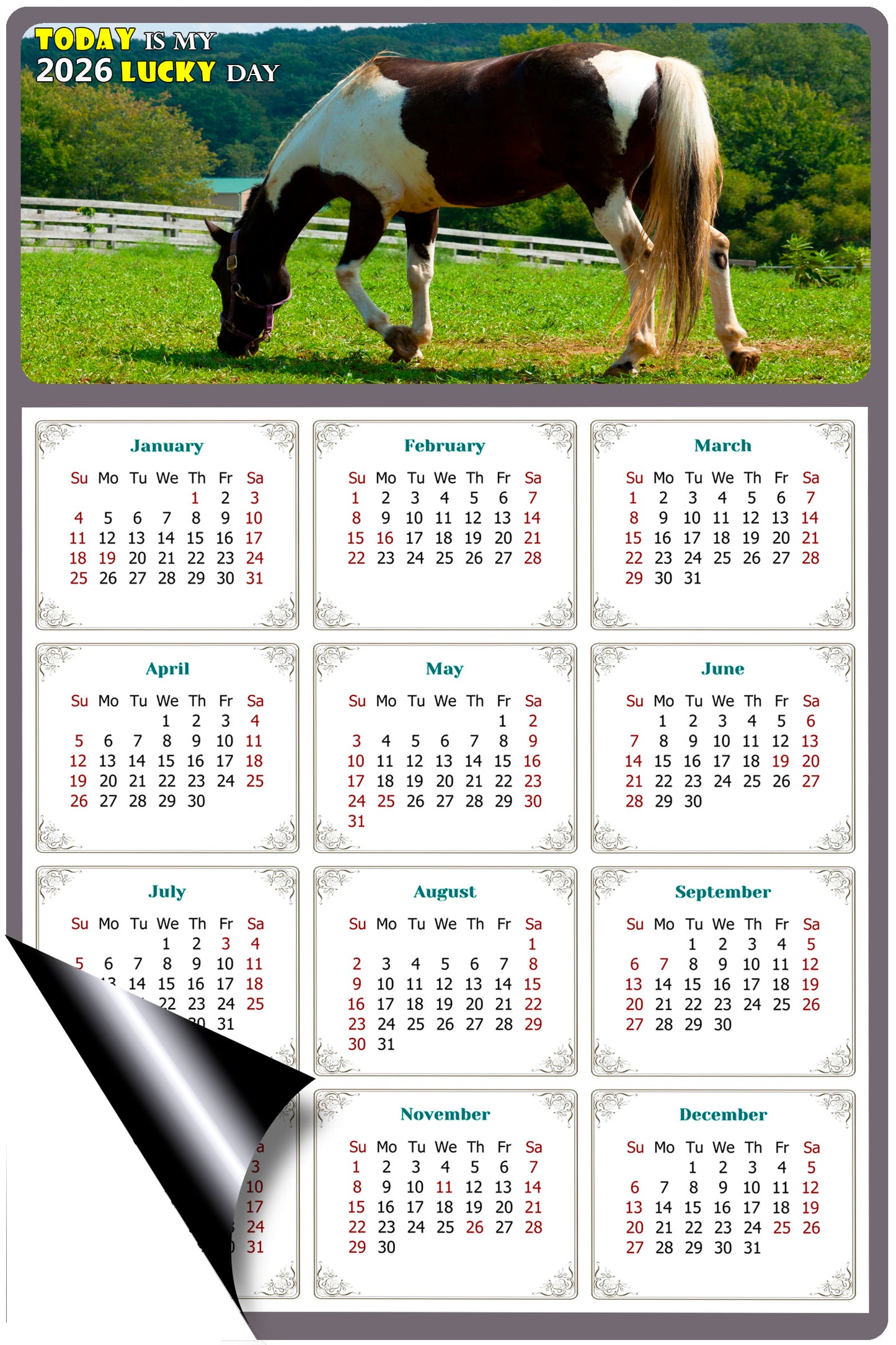 2026 Magnetic Calendar - Calendar Magnets - Today is my Lucky Day - (Fade, Tear, and Water Resistant) - Horses Themed 020