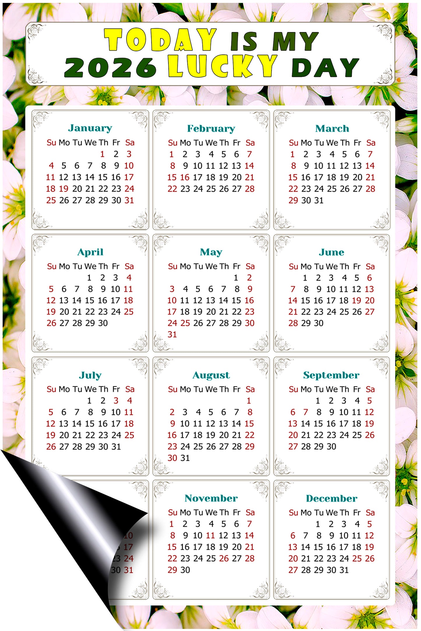2026 Magnetic Calendar - Calendar Magnets - Today is my Lucky Day - (Fade, Tear, and Water Resistant) - Themed 029