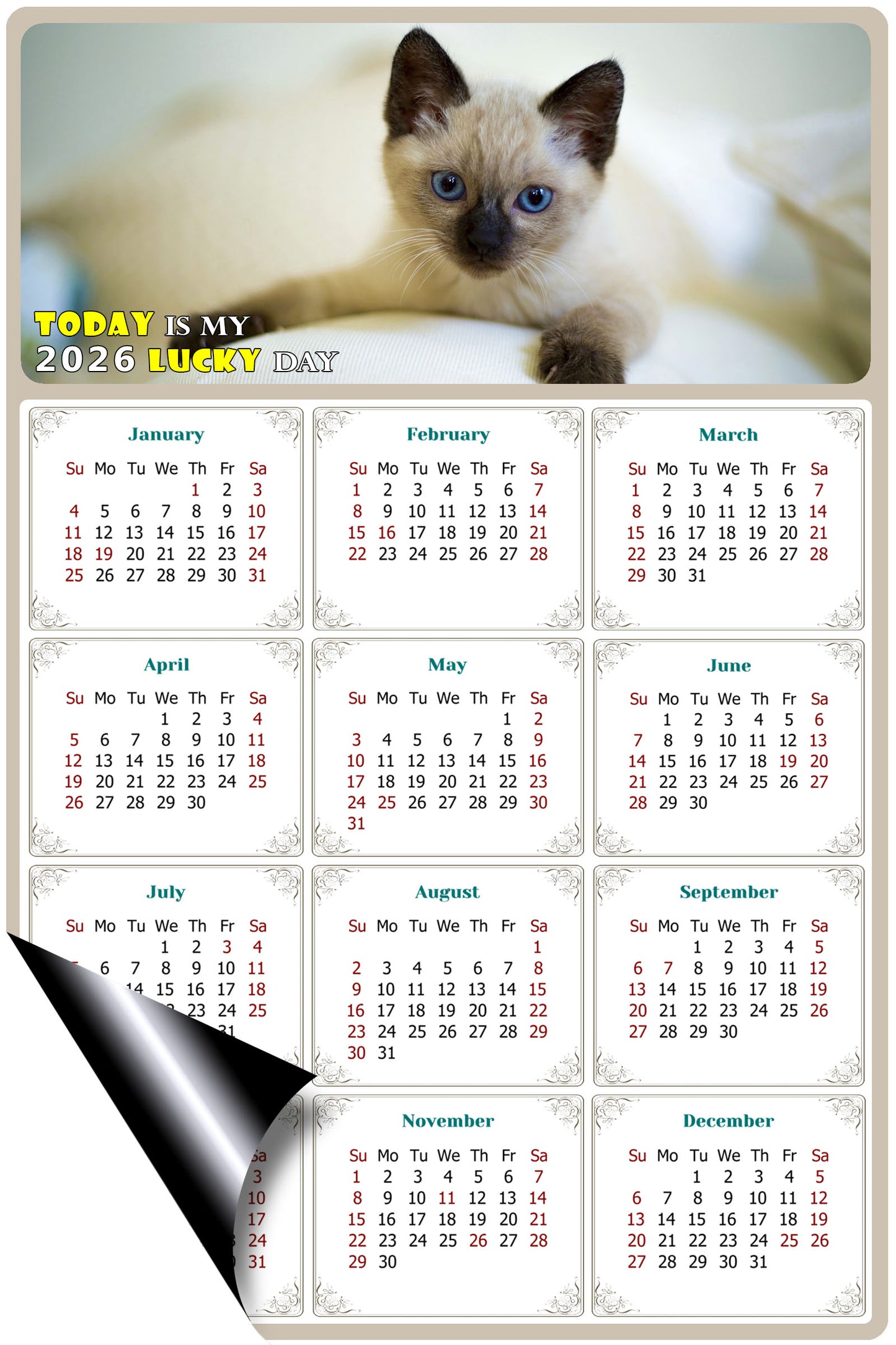 2026 Magnetic Calendar - Today is My Lucky Day (Fade, Tear, and Water Resistant)- Cat Themed 013
