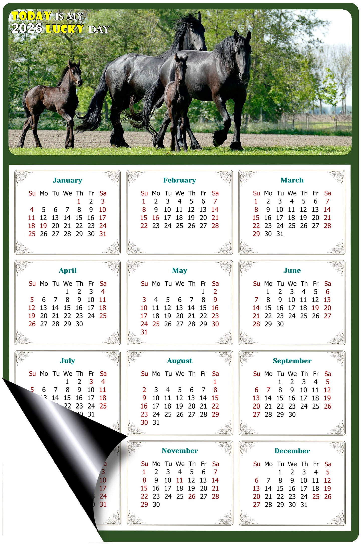 2026 Magnetic Calendar - Calendar Magnets - Today is my Lucky Day - (Fade, Tear, and Water Resistant) - Horses Themed 05
