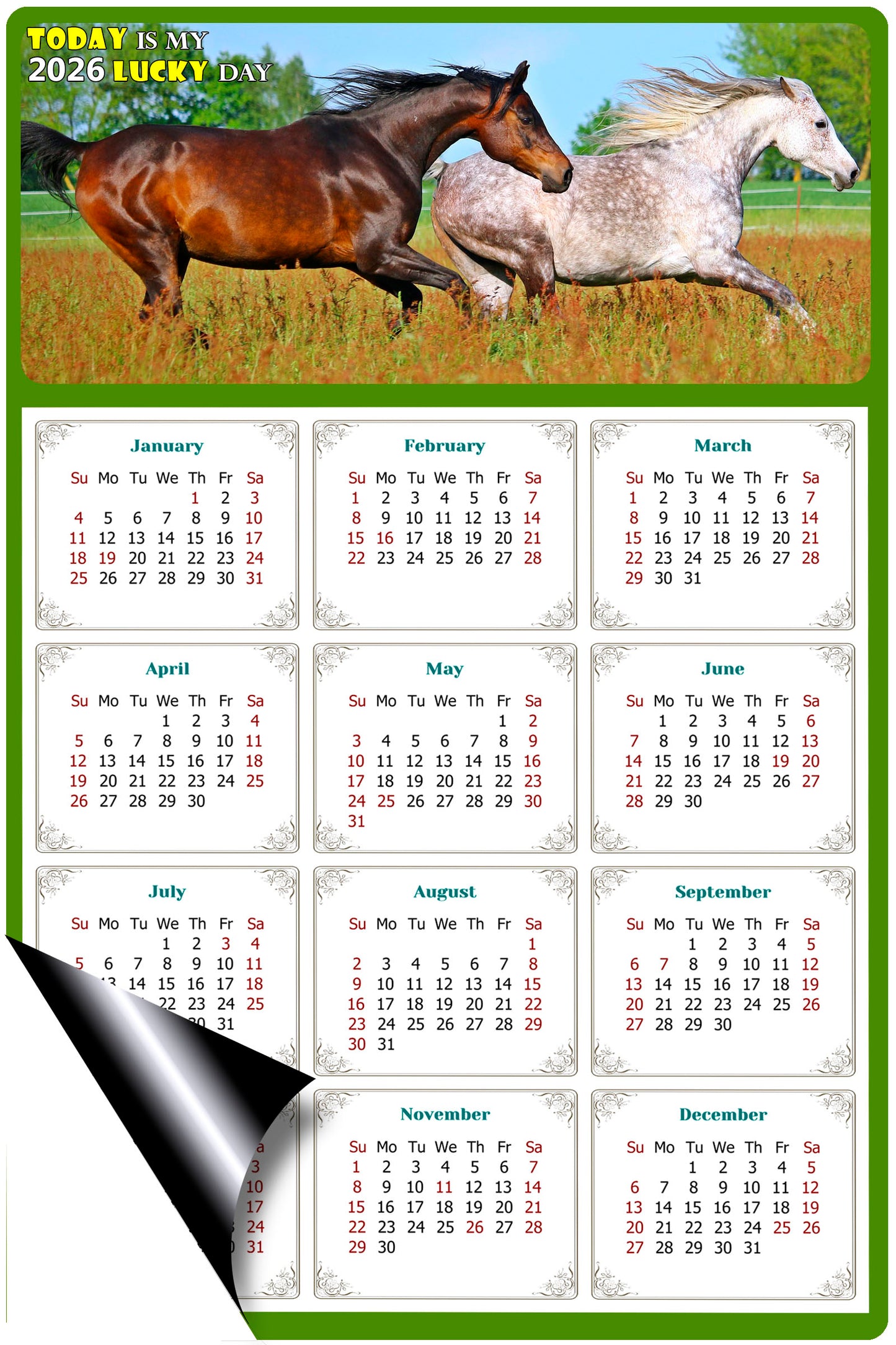 2026 Magnetic Calendar - Calendar Magnets - Today is my Lucky Day - (Fade, Tear, and Water Resistant) - Horses Themed 03