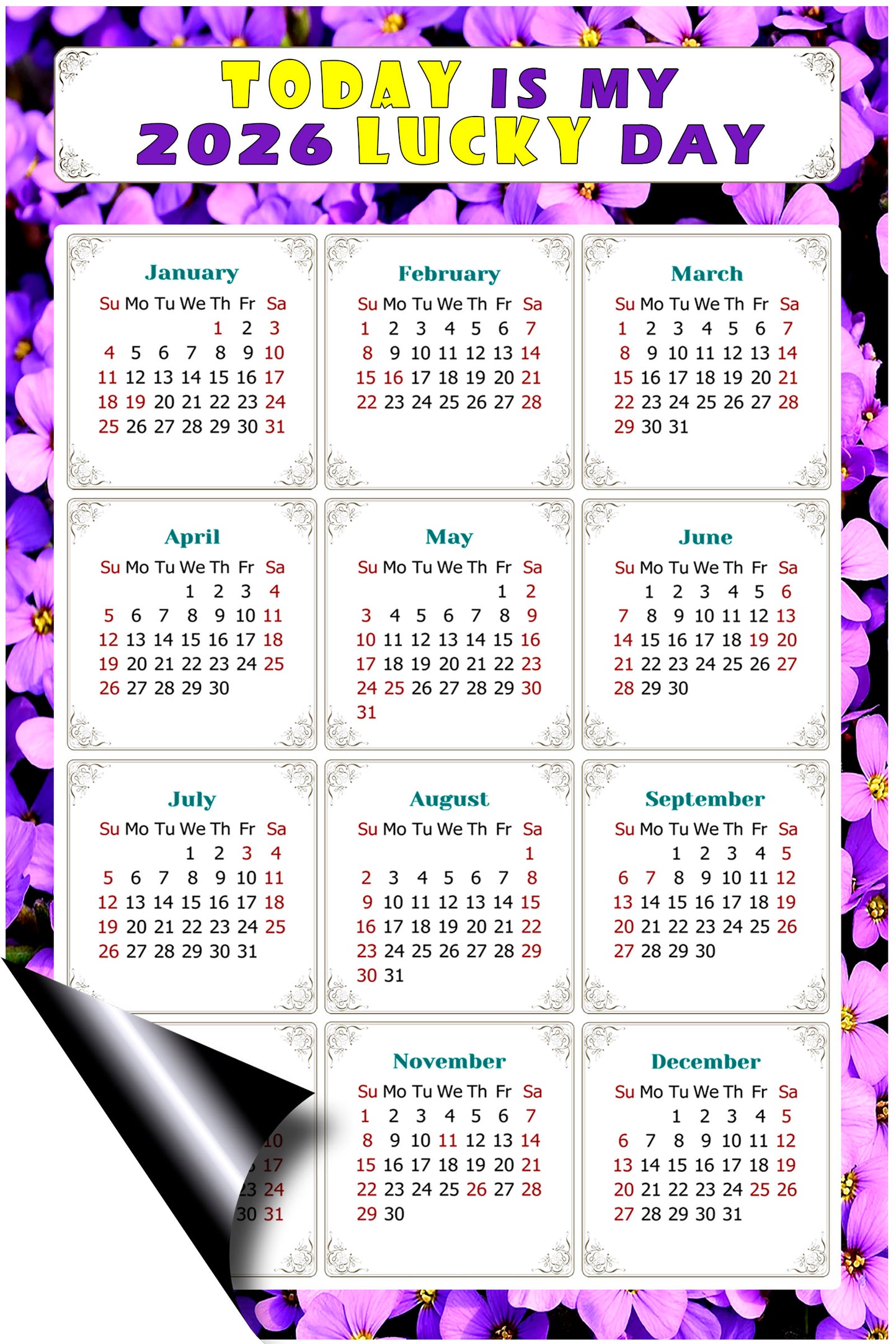 2026 Peel & Stick Calendar - Today is my Lucky Day Removable - 026