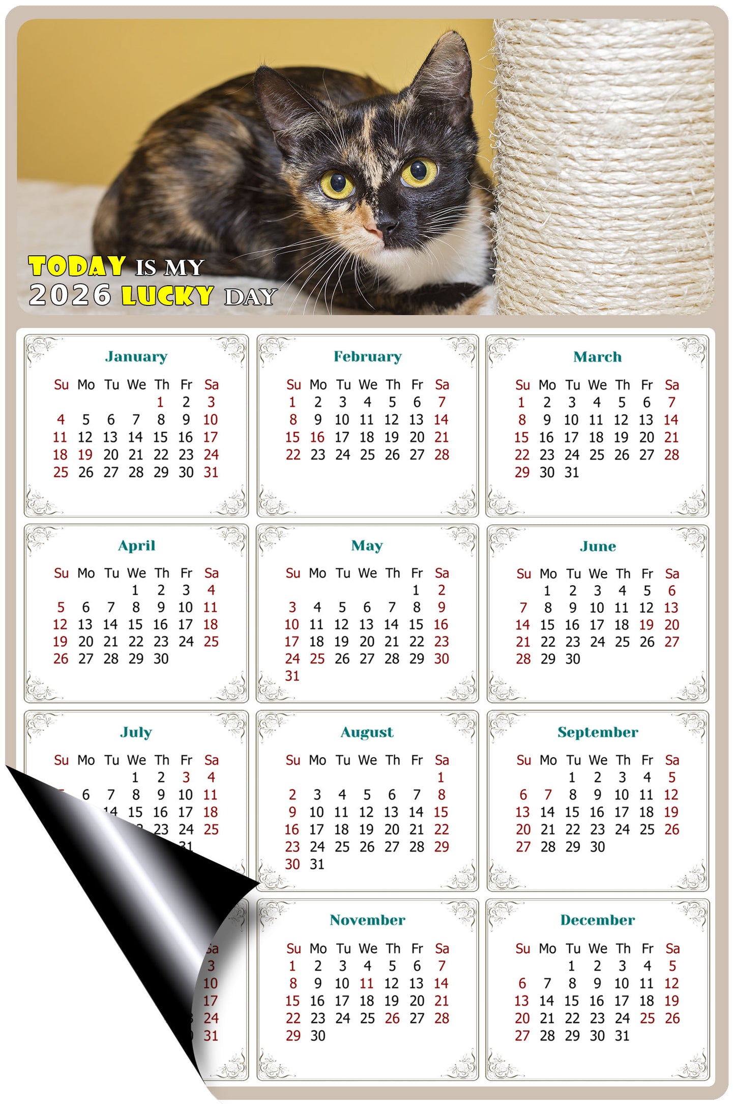 2026 Magnetic Calendar - Today is My Lucky Day (Fade, Tear, and Water Resistant)- Cat Themed 024