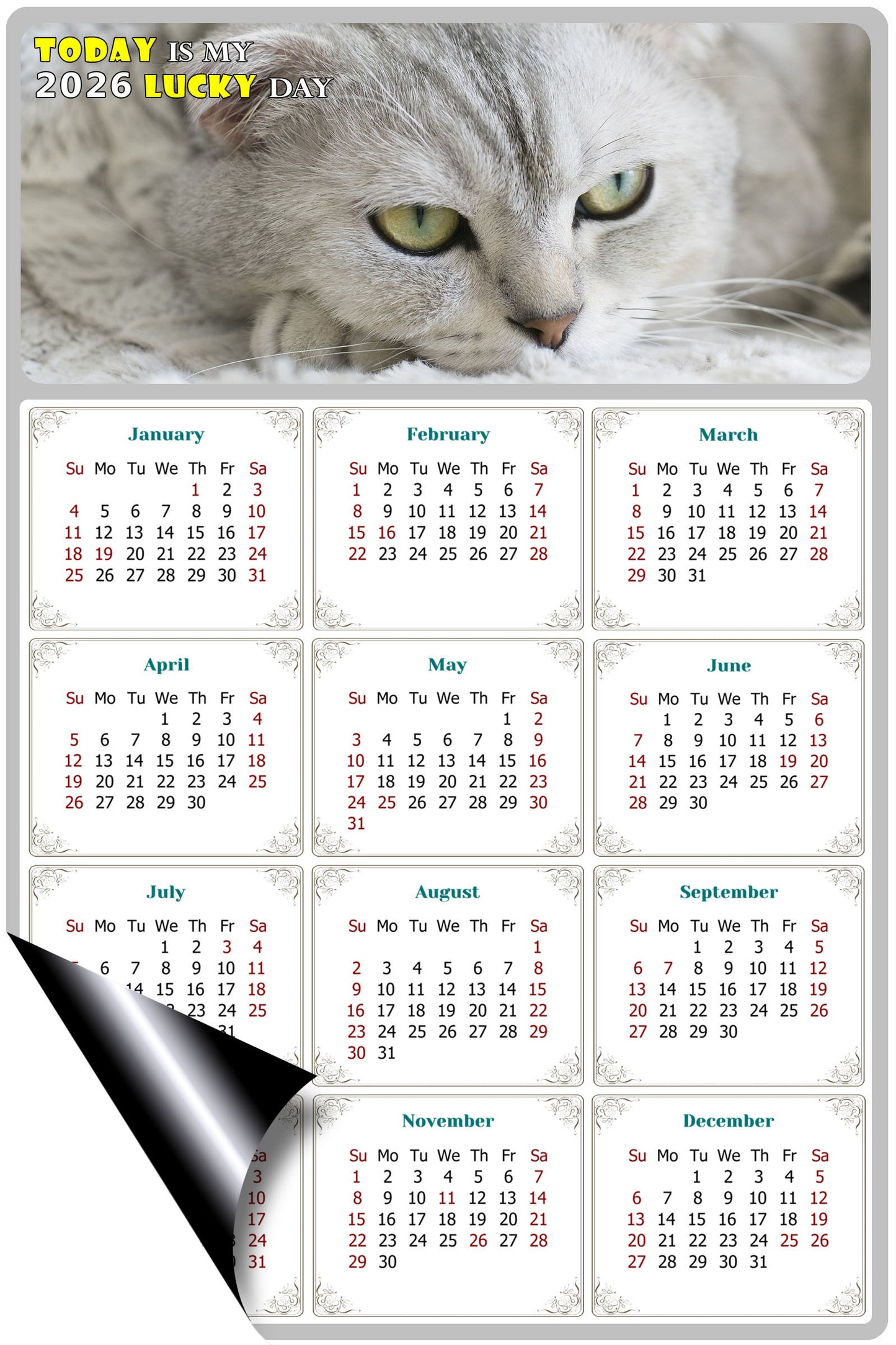 2026 Magnetic Calendar - Today is My Lucky Day (Fade, Tear, and Water Resistant)- Cat Themed 01