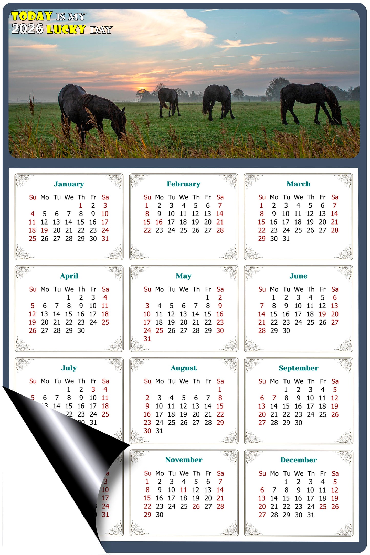 2026 Magnetic Calendar - Calendar Magnets - Today is my Lucky Day - (Fade, Tear, and Water Resistant) - Horses Themed 04