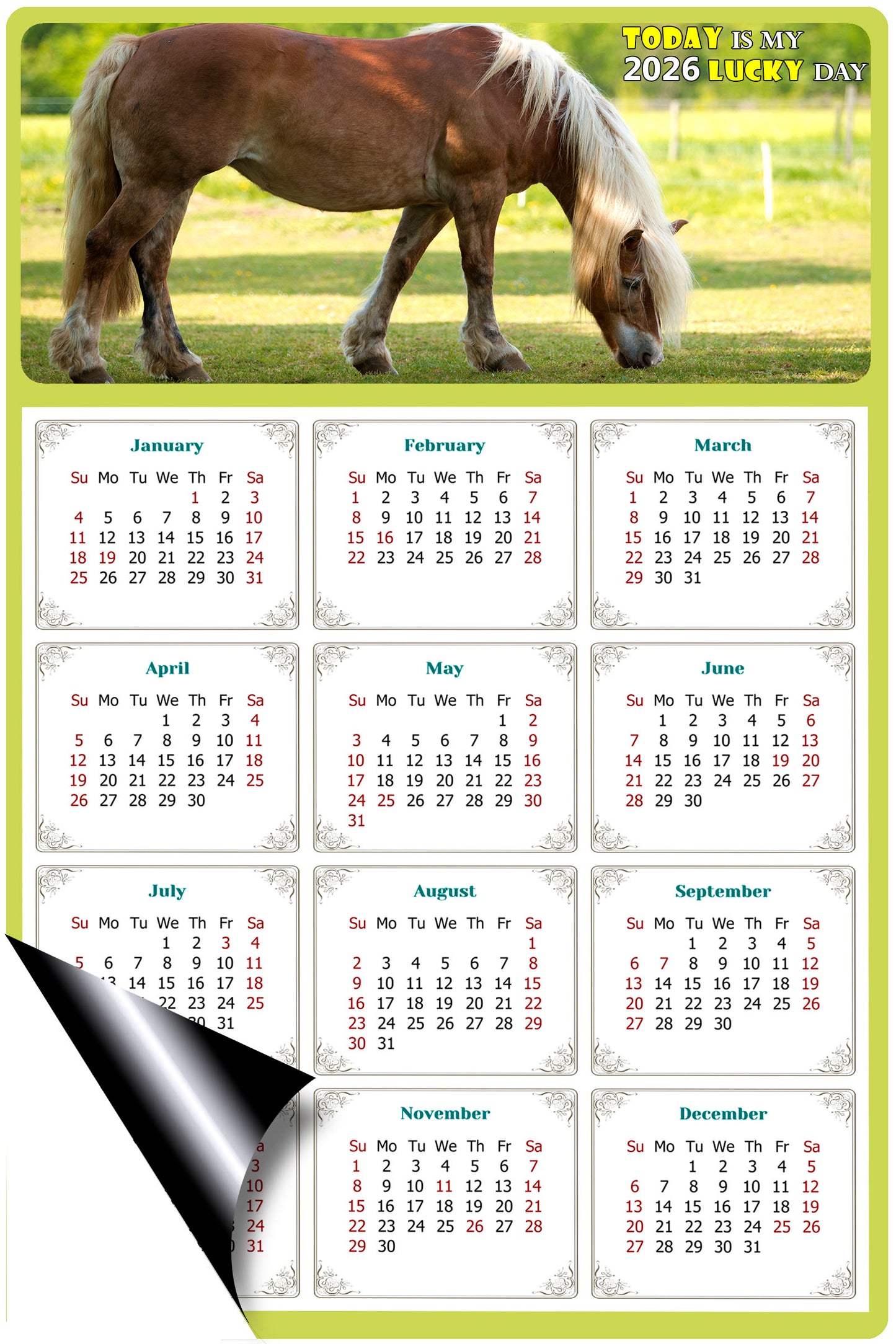 2026 Magnetic Calendar - Calendar Magnets - Today is my Lucky Day - (Fade, Tear, and Water Resistant) - Horses Themed 016