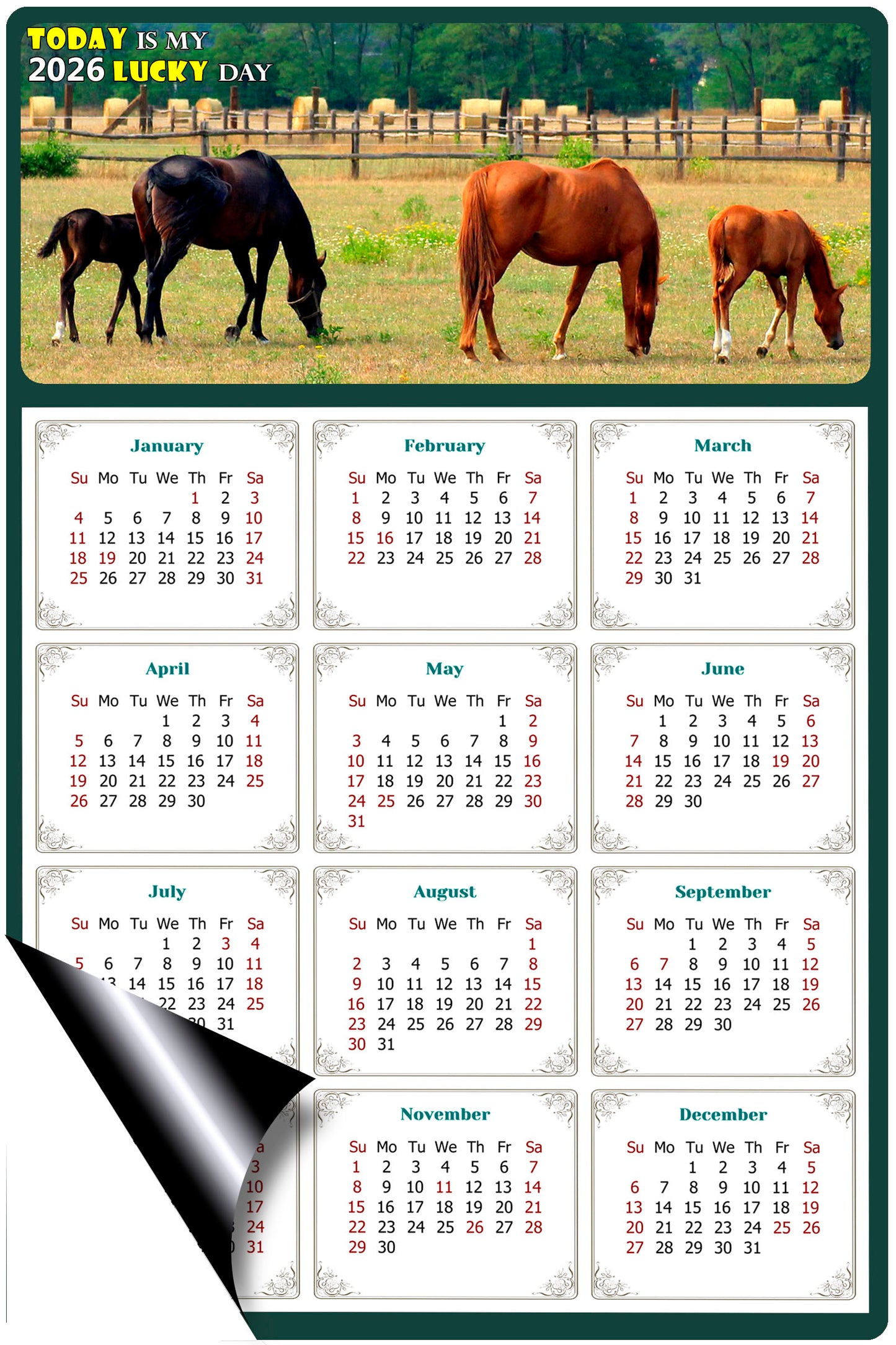 2026 Magnetic Calendar - Calendar Magnets - Today is my Lucky Day - (Fade, Tear, and Water Resistant) - Horses Themed 010
