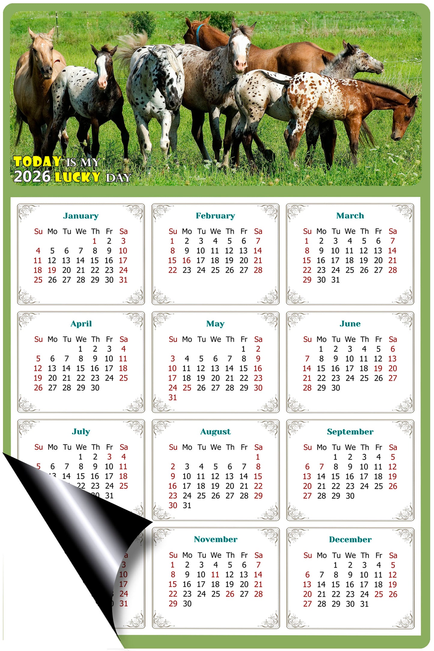 2026 Magnetic Calendar - Calendar Magnets - Today is my Lucky Day - (Fade, Tear, and Water Resistant) - Horses Themed 02
