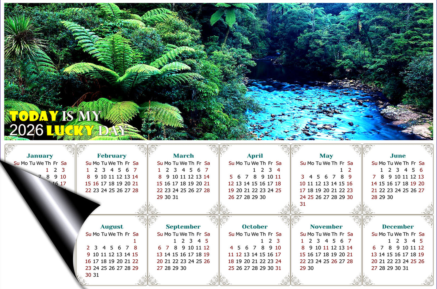 2026 Magnetic Calendar - Calendar Magnets - Today is My Lucky Day (Waipoua Kauri Reserve)