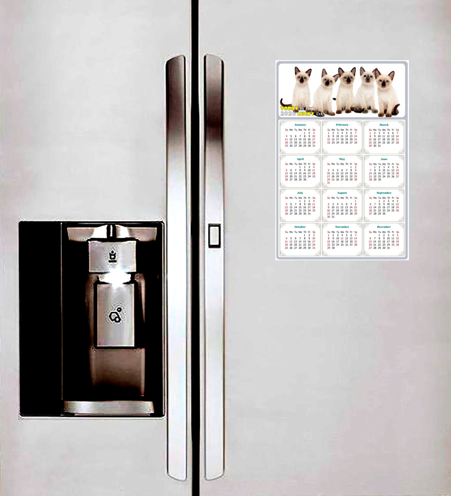2026 Peel & Stick Calendar - Today is my Lucky Day Removable - Cat 020 (12"x 8")