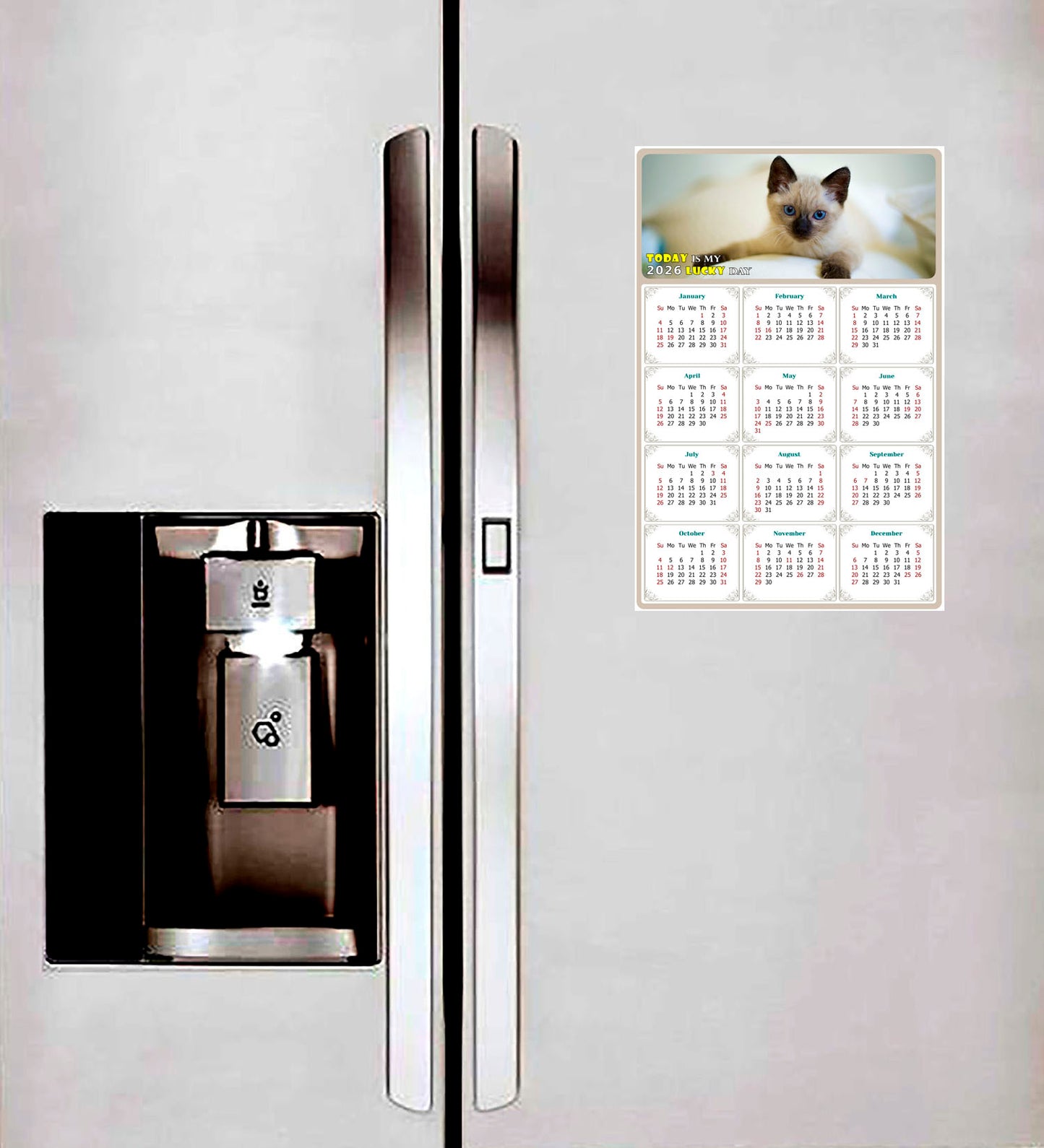 2026 Magnetic Calendar - Today is My Lucky Day (Fade, Tear, and Water Resistant)- Cat Themed 013