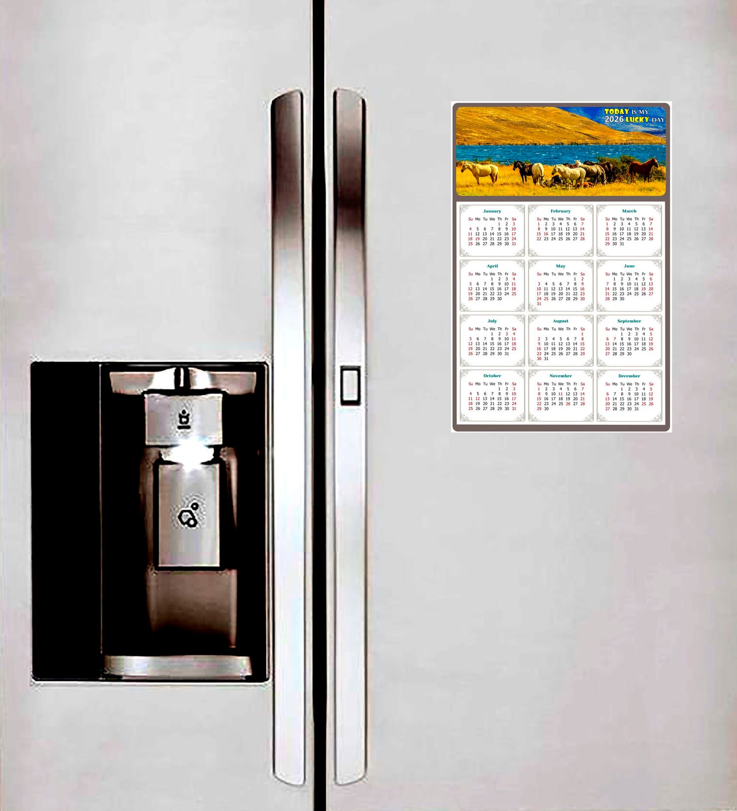 2026 Magnetic Calendar - Calendar Magnets - Today is my Lucky Day - (Fade, Tear, and Water Resistant) - Horses Themed 012