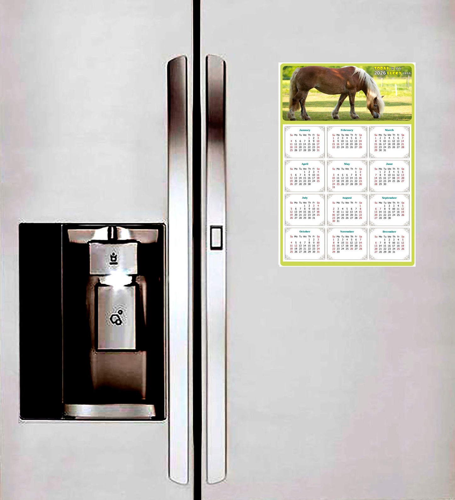 2026 Magnetic Calendar - Calendar Magnets - Today is my Lucky Day - (Fade, Tear, and Water Resistant) - Horses Themed 016