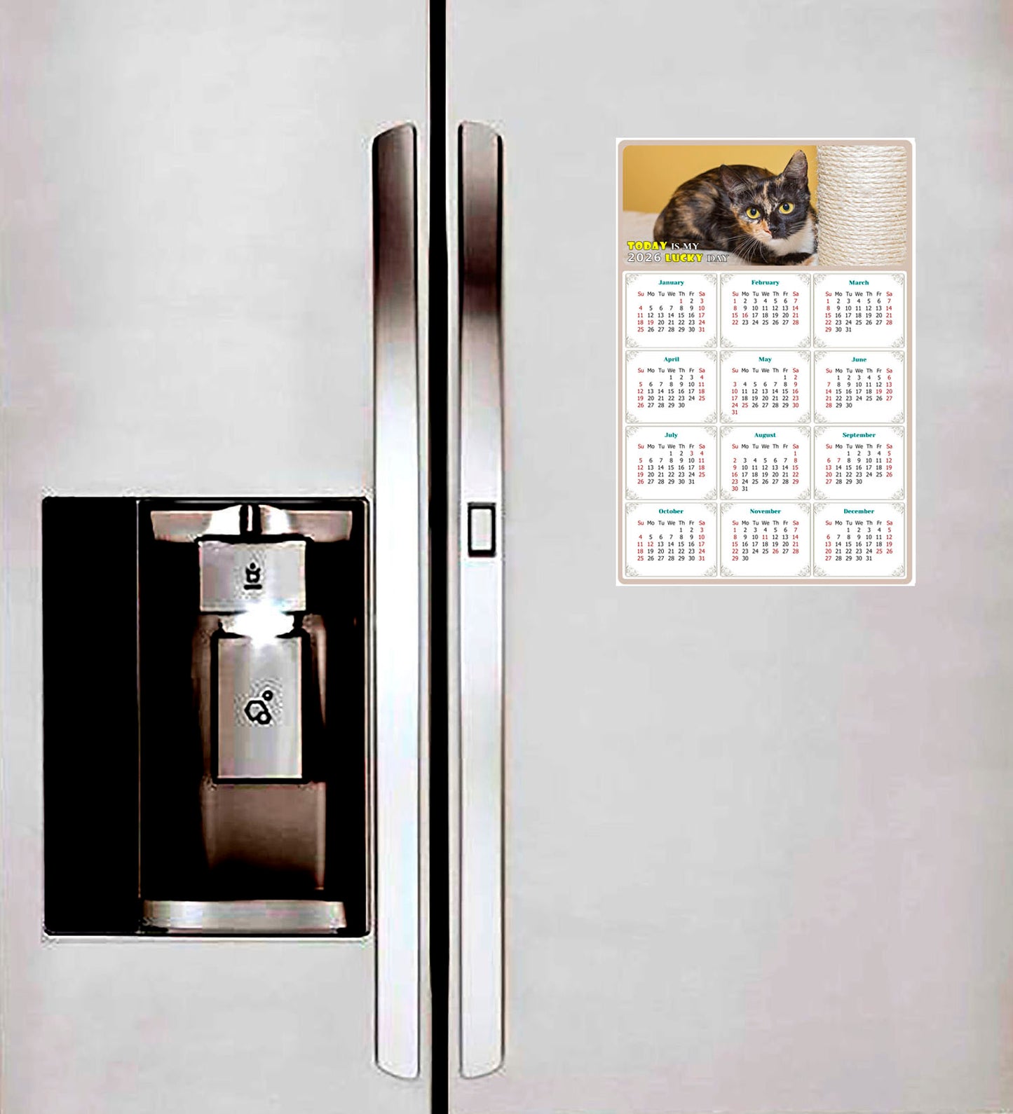 2026 Peel & Stick Calendar - Today is my Lucky Day Removable - Cat 024 (12"x 8")