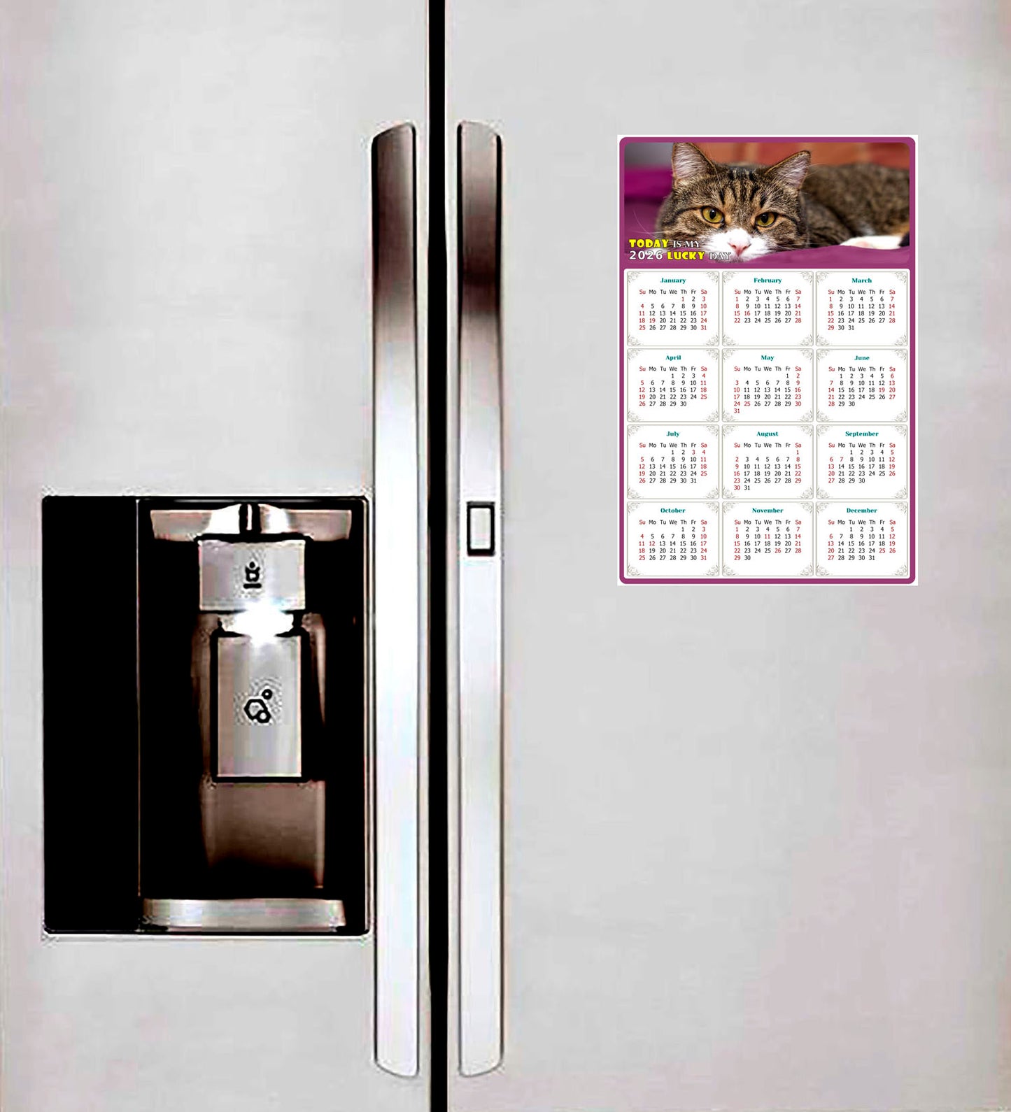 2026 Magnetic Calendar - Today is My Lucky Day (Fade, Tear, and Water Resistant)- Cat Themed 022