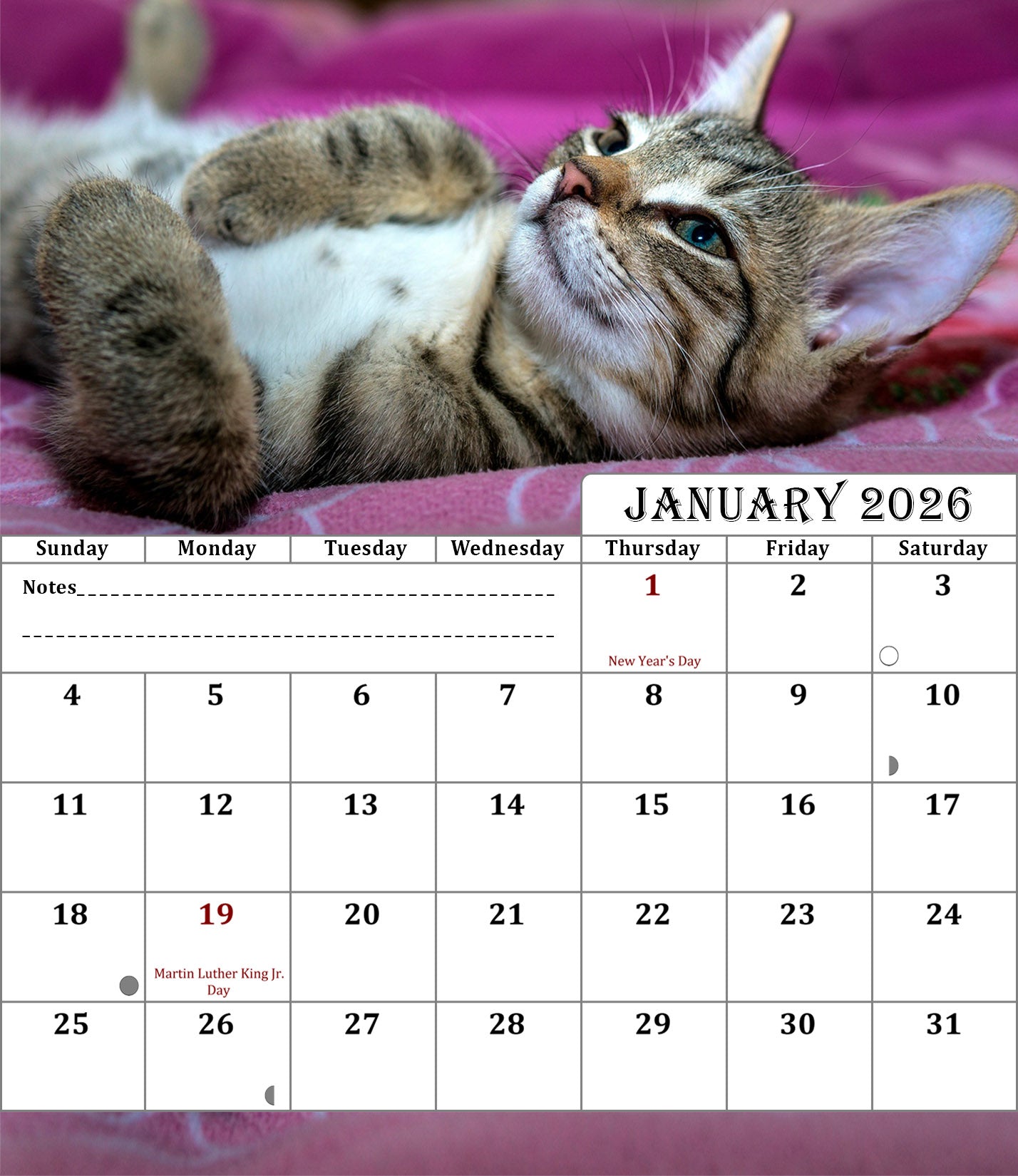2025-2026 CD-Style Desk Calendar 18 Months Calendar (Cats)
