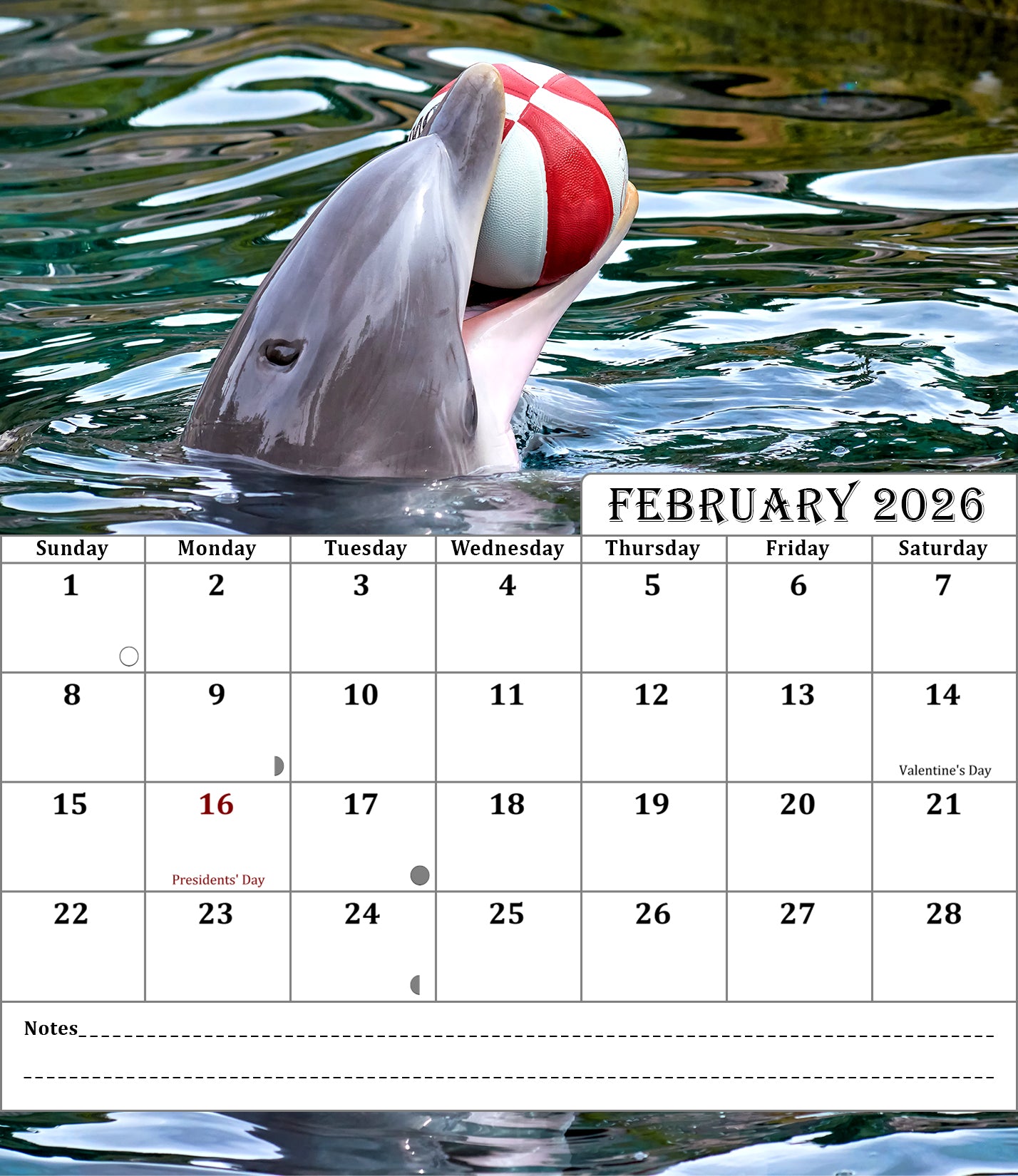 2025-2026 CD-Style Desk Calendar 18 Months Calendar (Dolphins)