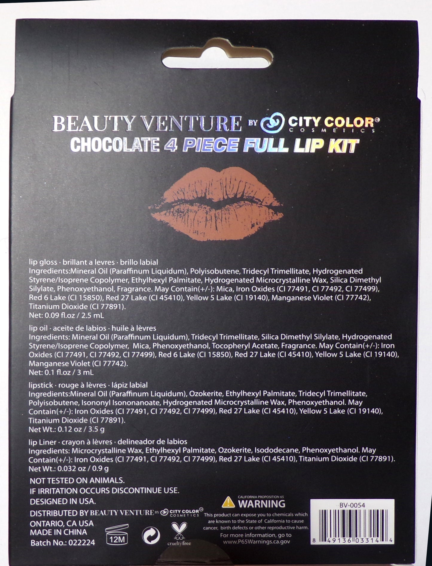 Beauty Venture Chocolate 4 Piece Full Lip Kit (Brown/Nude Shades)