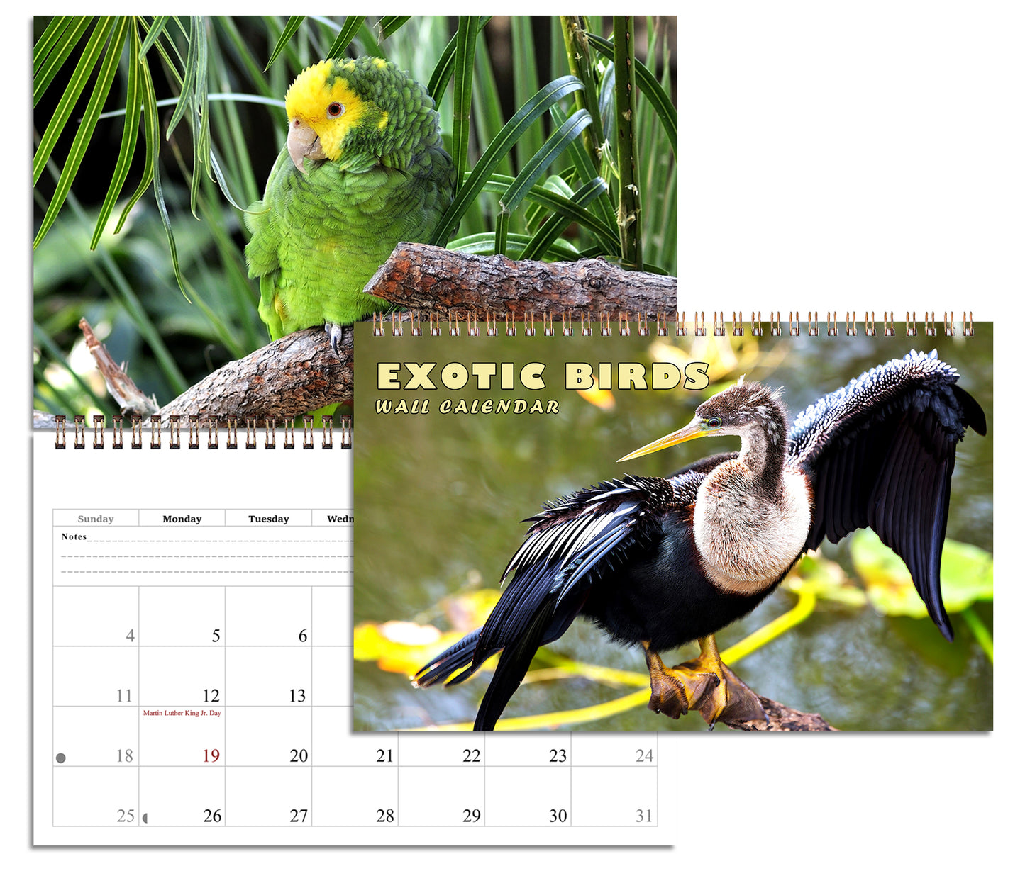 2026 Spiral-bound Wall Calendar (Exotic Birds) - 12 Months Desktop/Wall Calendar/Planner