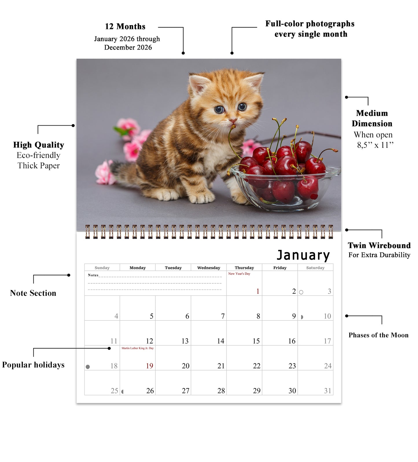 2026 Spiral-bound Wall Calendar (Kittens) - 12 Months Desktop/Wall Calendar/Planner