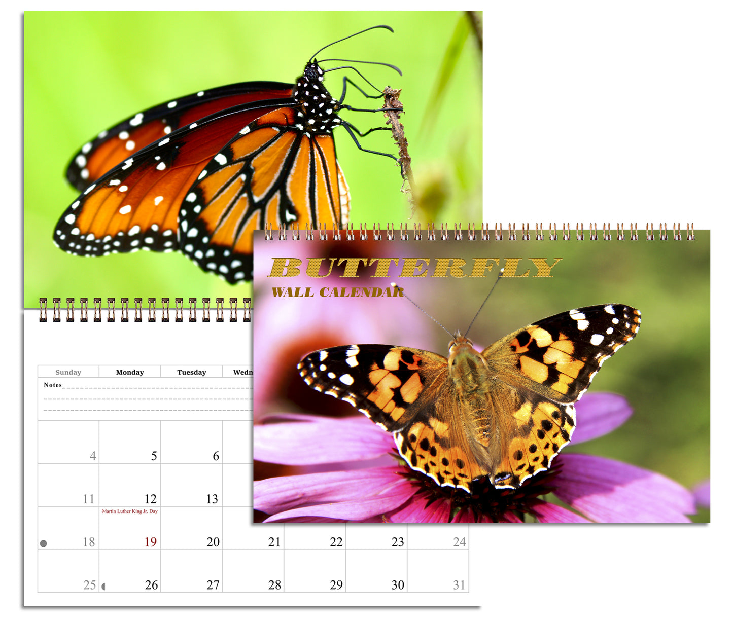2026 Spiral-bound Wall Calendar (Butterflyes) - 12 Months Desktop/Wall Calendar/Planner