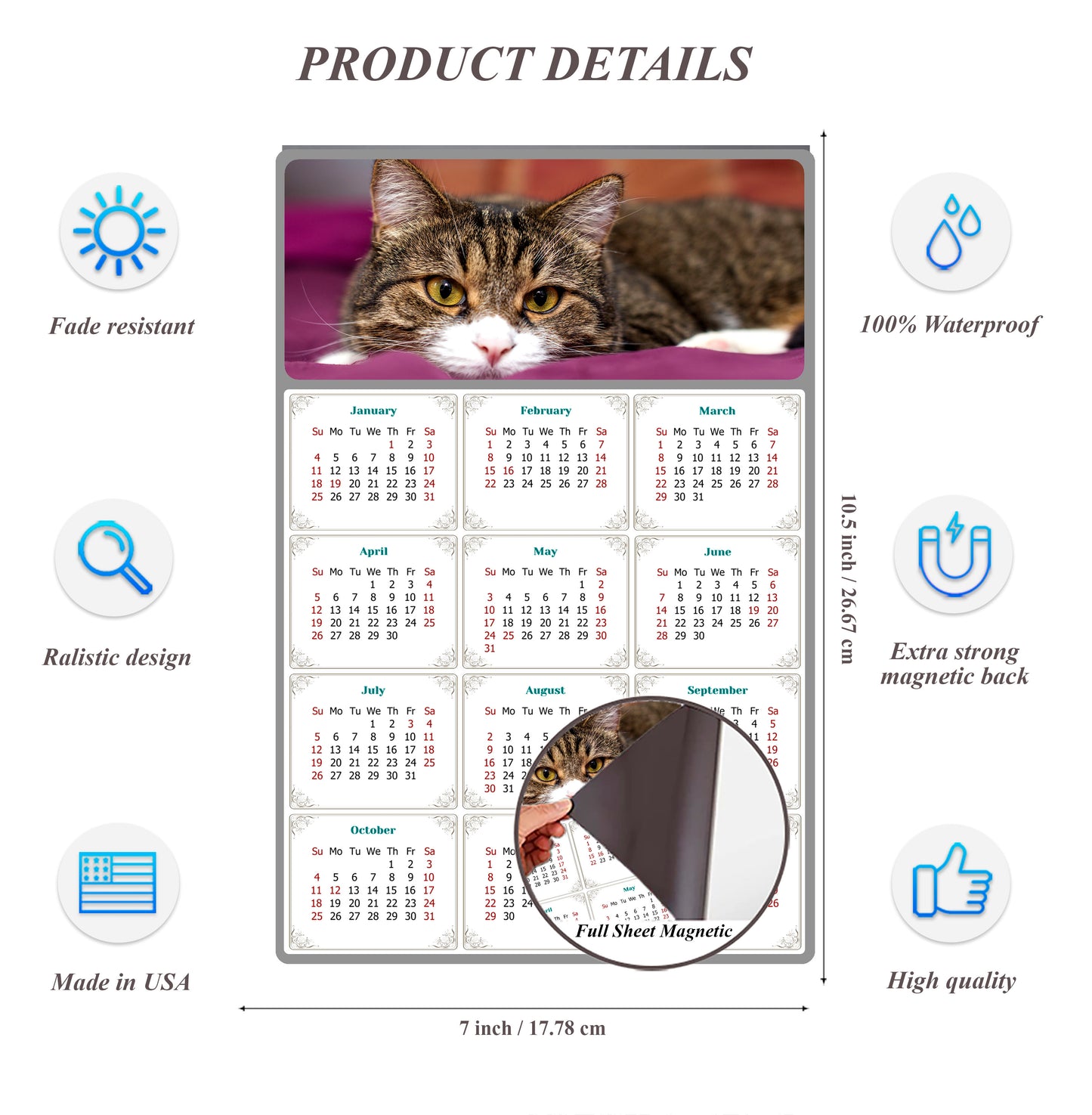2026 Magnetic Calendar - Today is My Lucky Day (Fade, Tear, and Water Resistant)- Cat Themed 022
