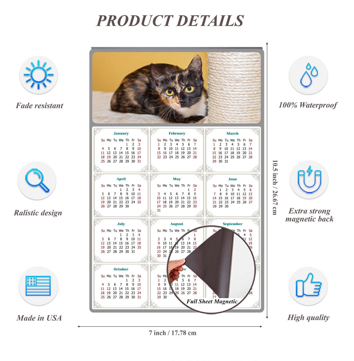 2026 Magnetic Calendar - Today is My Lucky Day (Fade, Tear, and Water Resistant)- Cat Themed 024