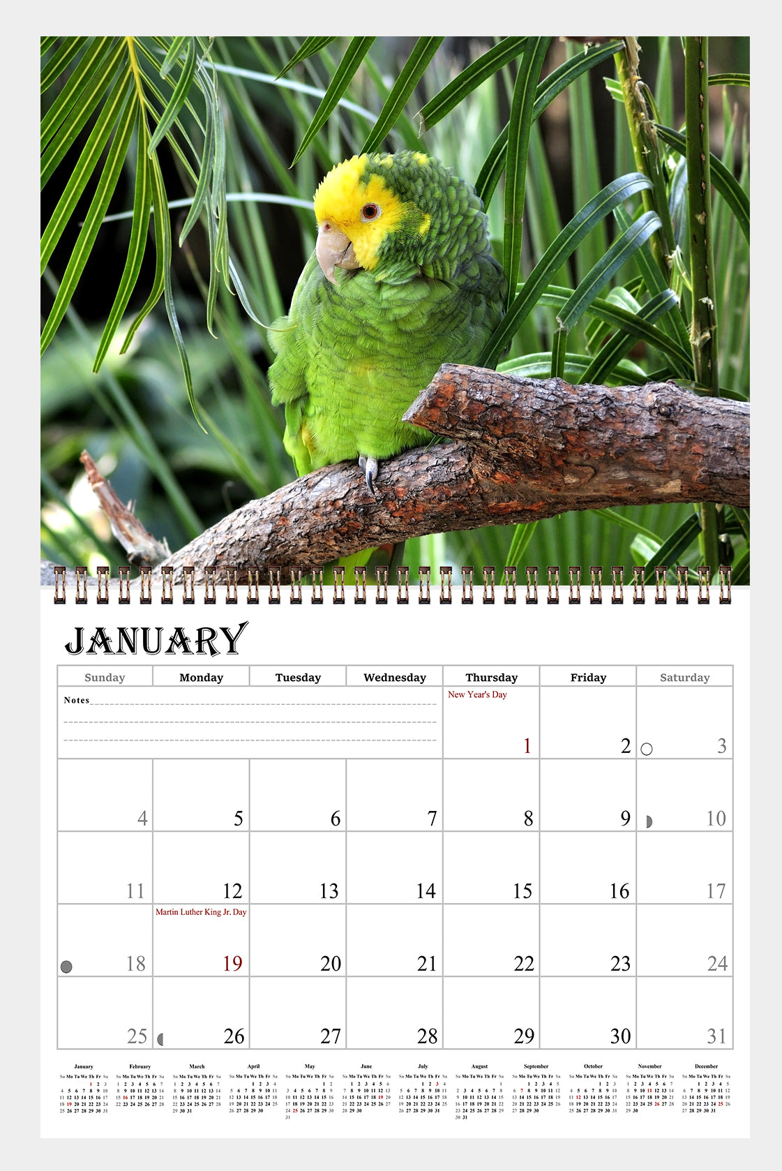 2026 Spiral-bound Wall Calendar (Exotic Birds) - 12 Months Desktop/Wall Calendar/Planner