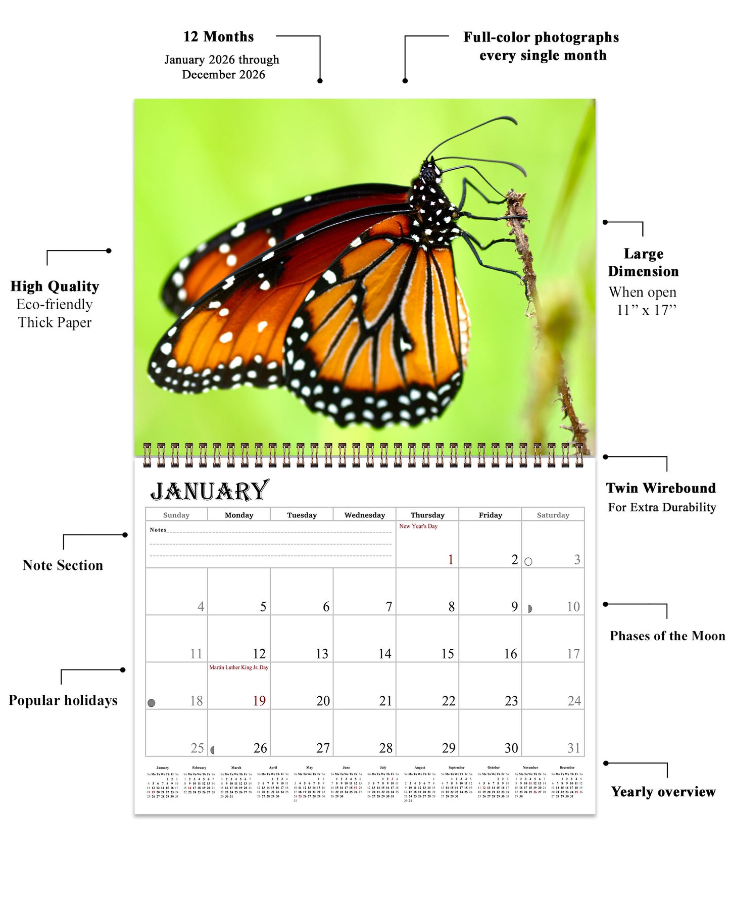 2026 Spiral-bound Wall Calendar (Butterflyes) - 12 Months Desktop/Wall Calendar/Planner