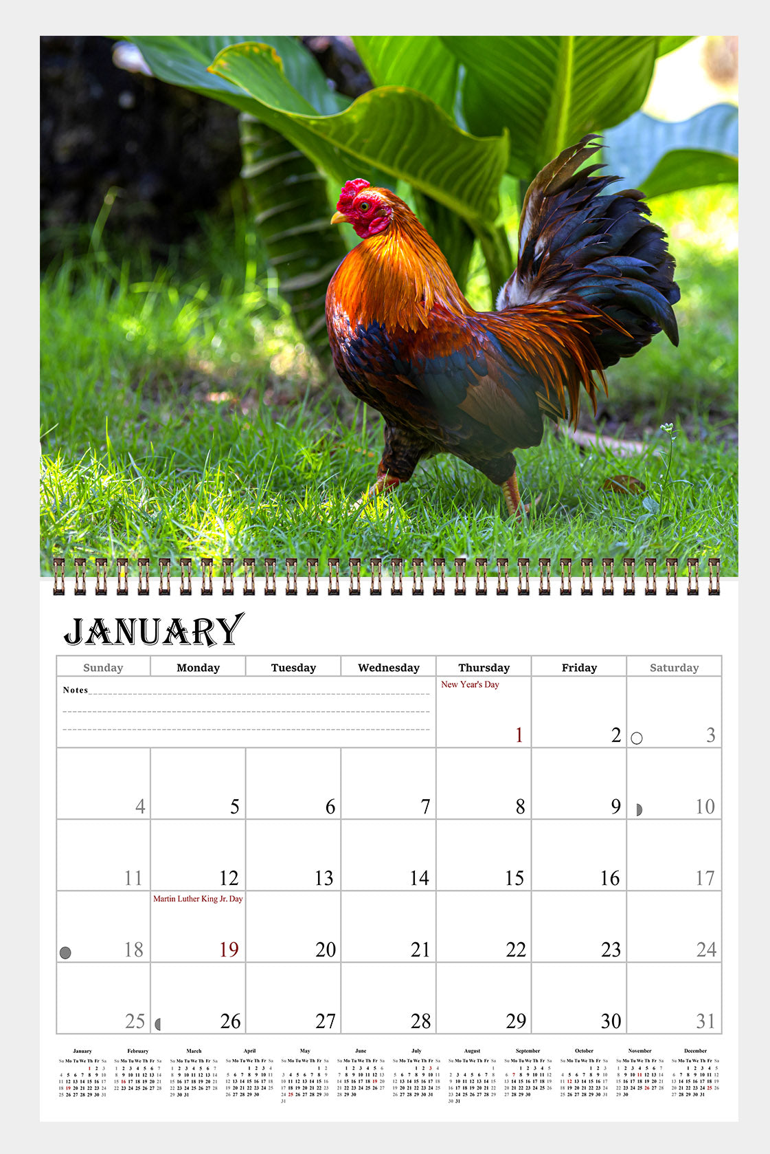 2026 Spiral-bound Wall Calendar (Roosters) - 12 Months Desktop/Wall Calendar/Planner
