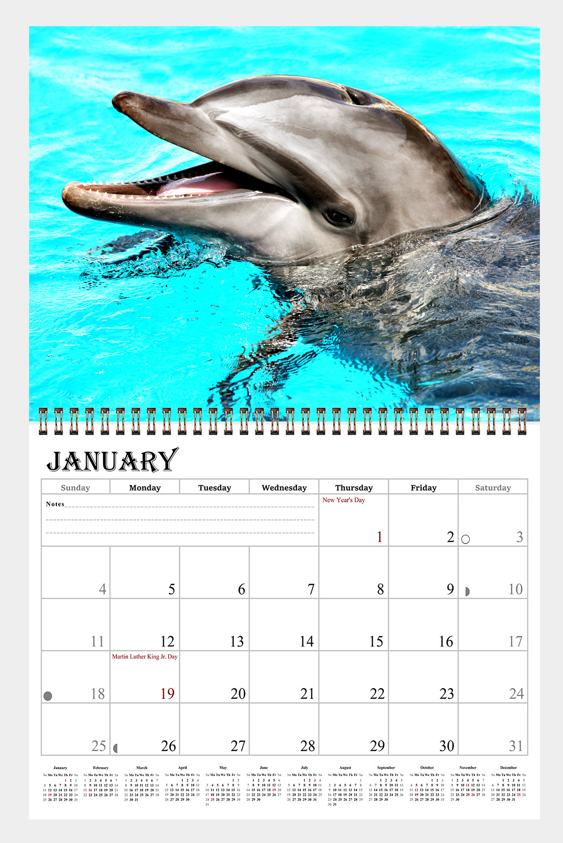 2026 Spiral-bound Wall Calendar (Dolphins) - 12 Months Desktop/Wall Calendar/Planner