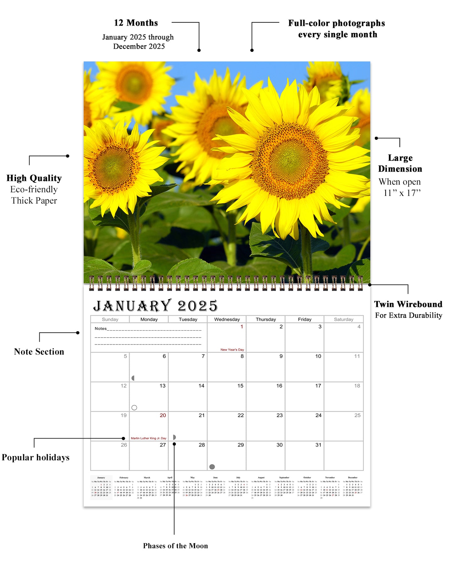 2025 Spiral-bound Wall Calendar (Sunflowers) - 12 Months Desktop/Wall Calendar/Planner (Copy)