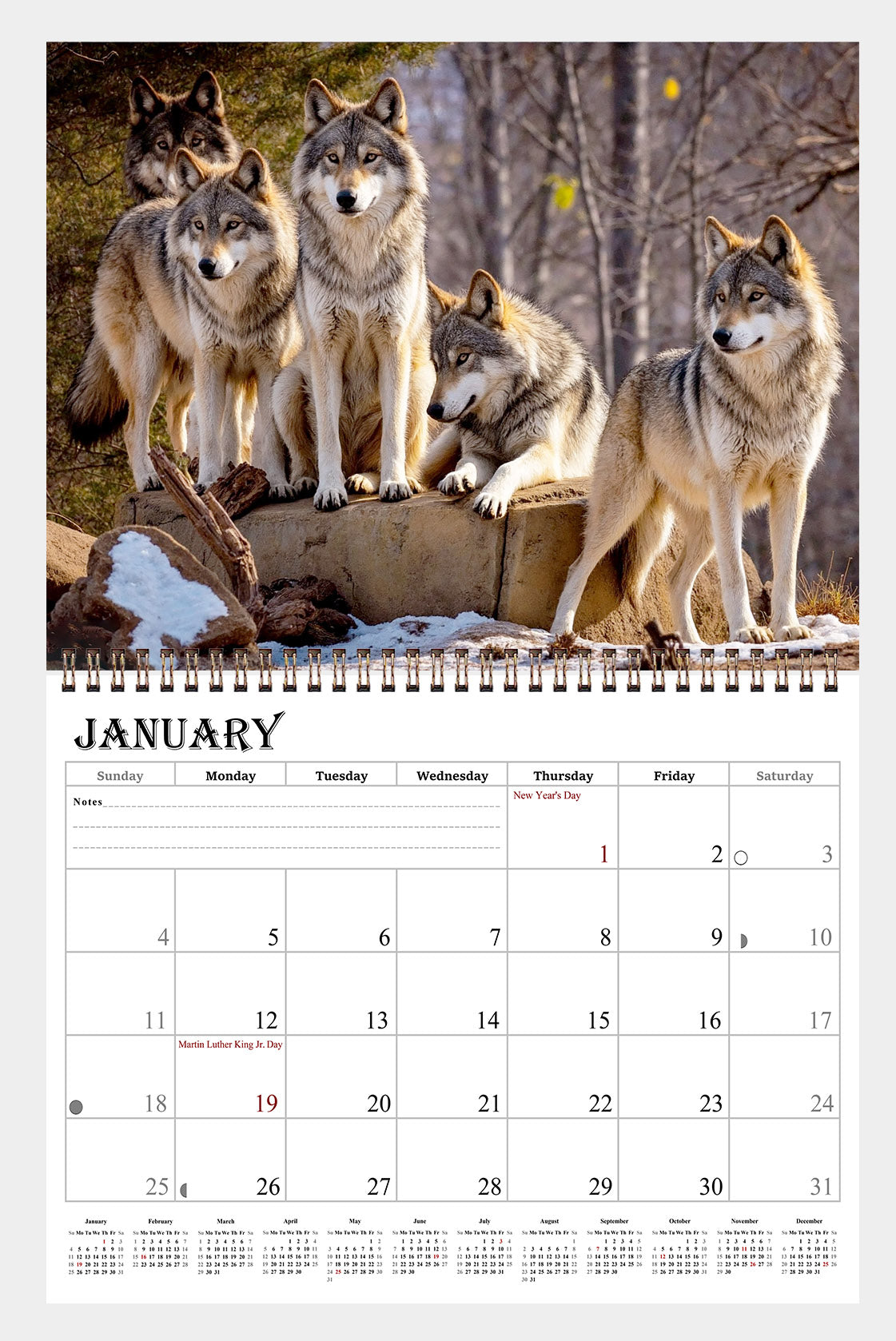 2026 Spiral-bound Wall Calendar (Wolves) - 12 Months Desktop/Wall Calendar/Planner