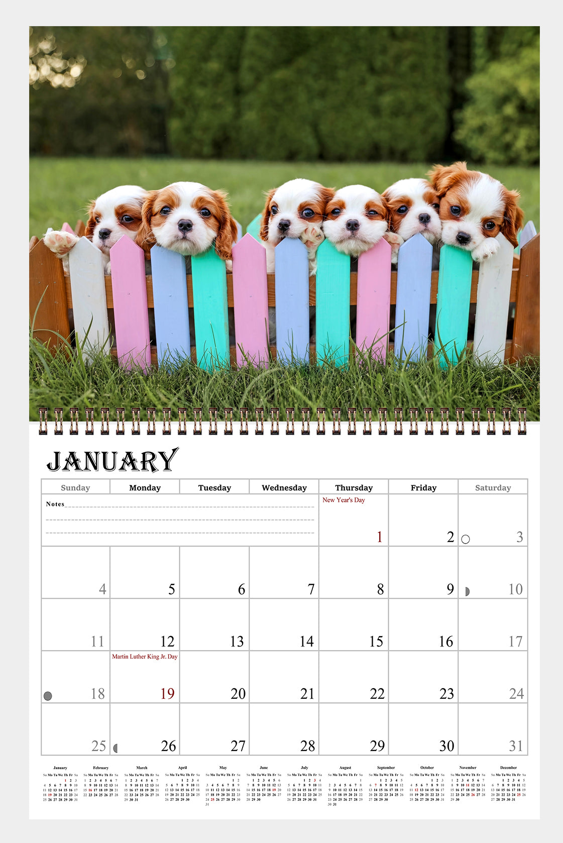 2026 Spiral-bound Wall Calendar (Puppies) - 12 Months Desktop/Wall Calendar/Planner