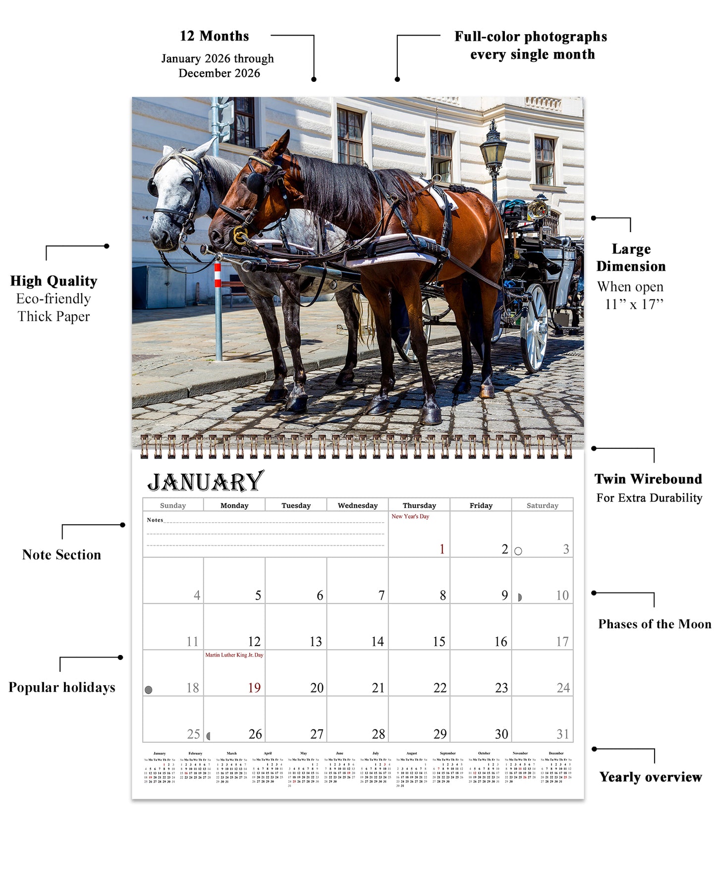2026 Spiral-bound Wall Calendar (Horses) - 12 Months Desktop/Wall Calendar/Planner