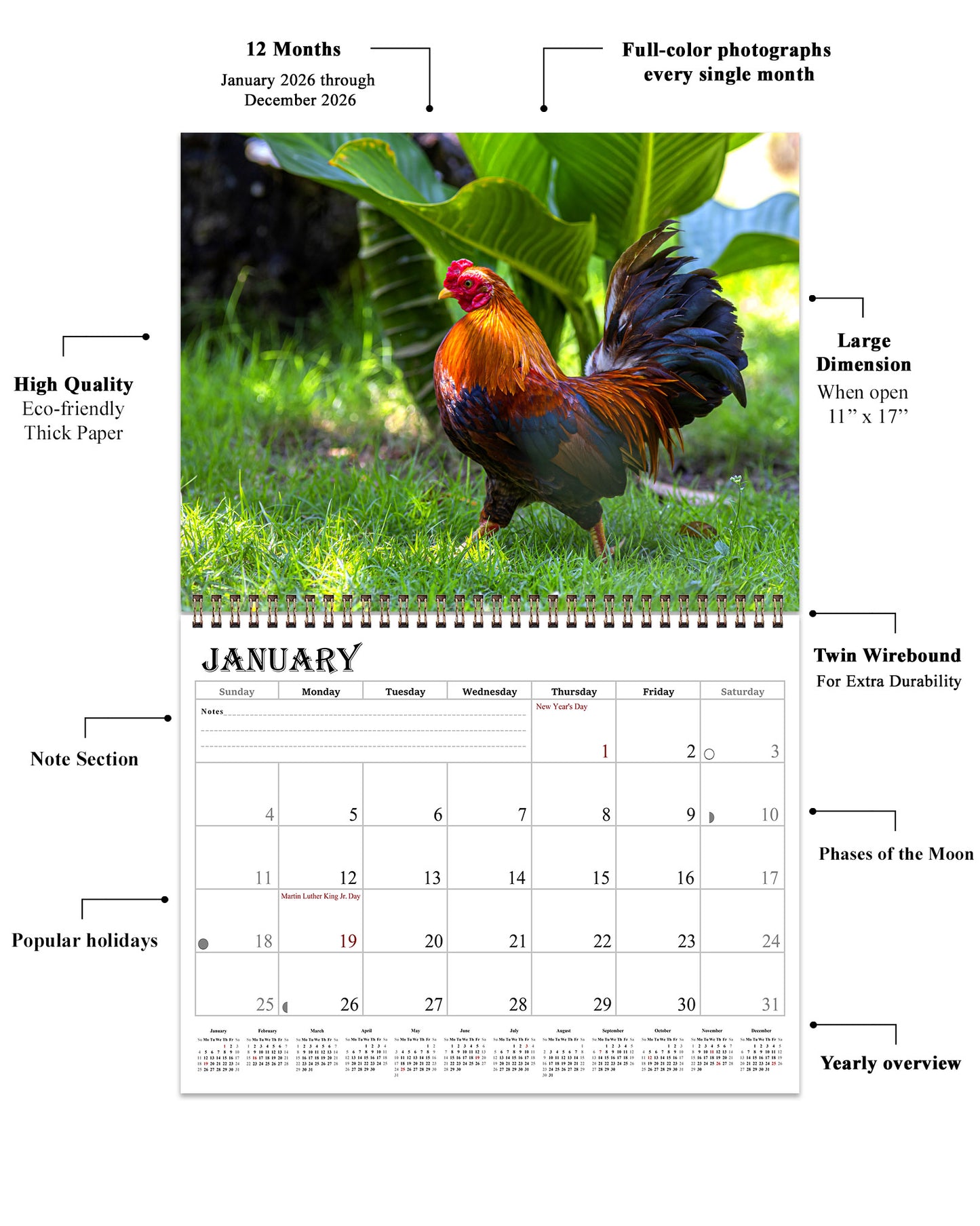 2026 Spiral-bound Wall Calendar (Roosters) - 12 Months Desktop/Wall Calendar/Planner