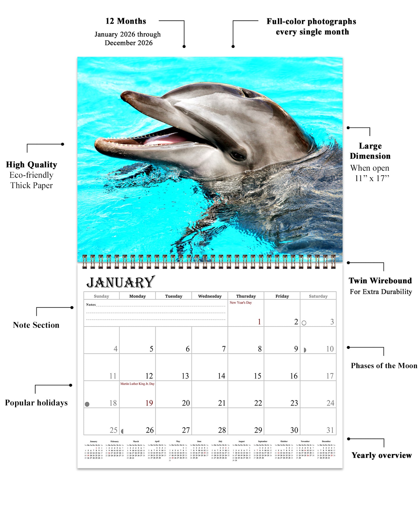 2026 Spiral-bound Wall Calendar (Dolphins) - 12 Months Desktop/Wall Calendar/Planner